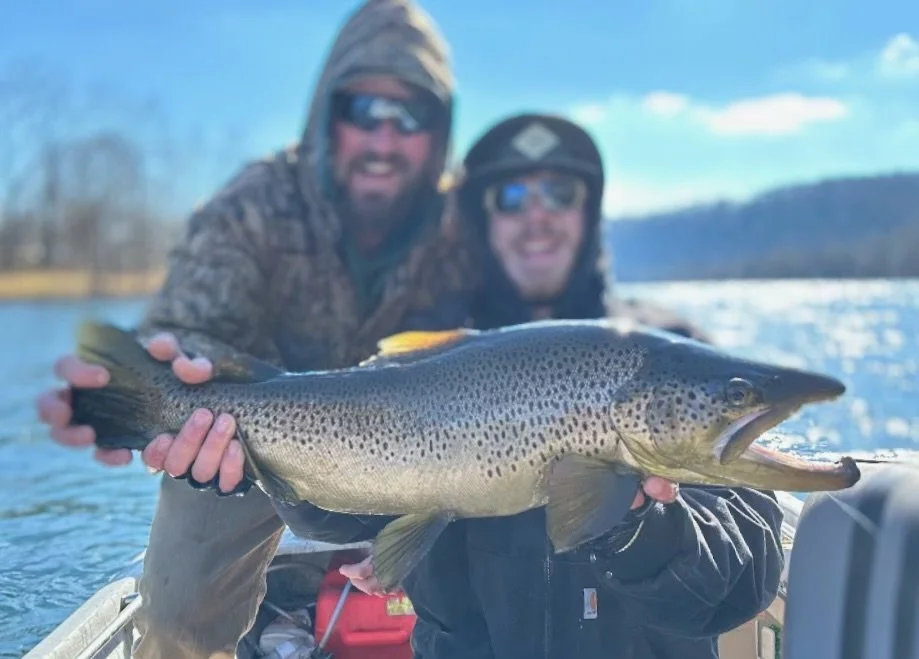 Craigslist+13+Hunter+Brown.jpg
