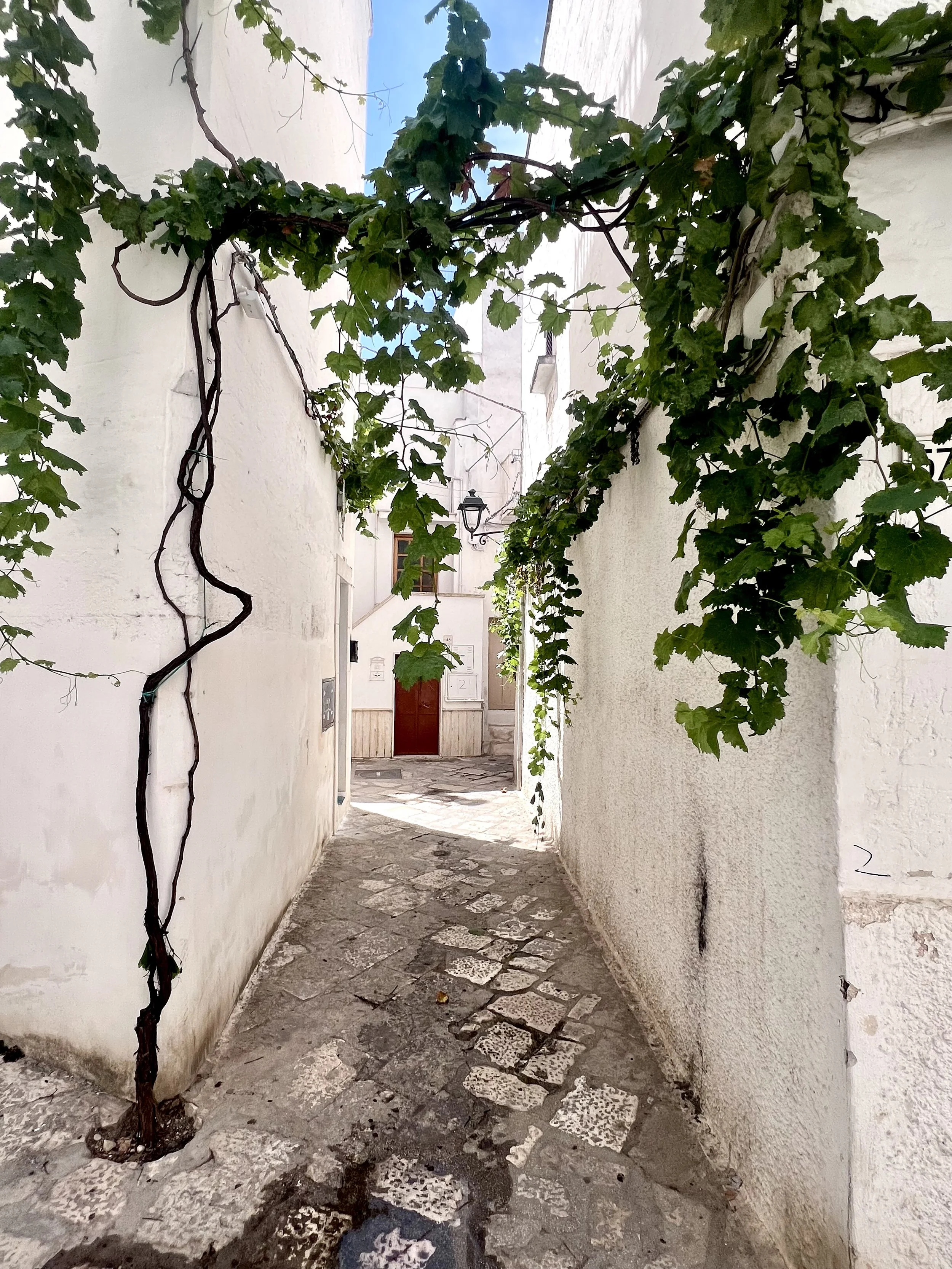 Narrow whitewashed alley in a Puglia old town