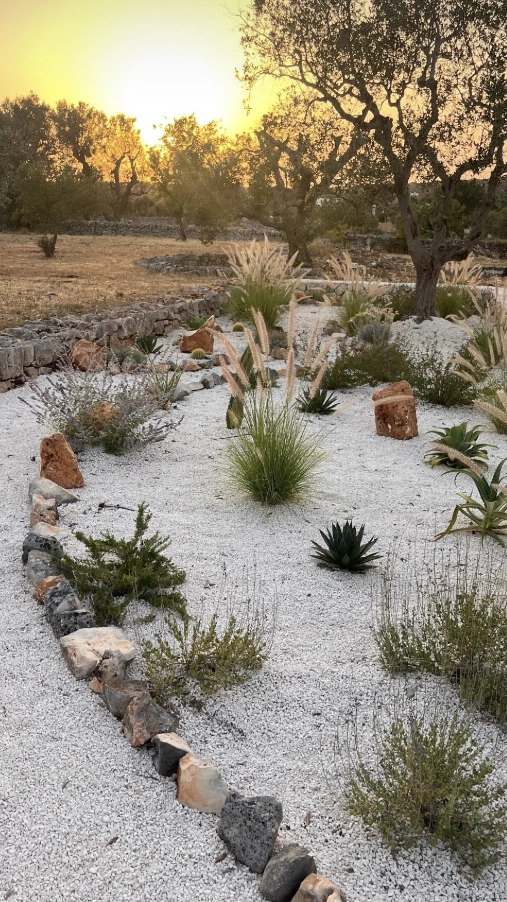 Gravel garden with ornamental grasses at Trullo Ostro