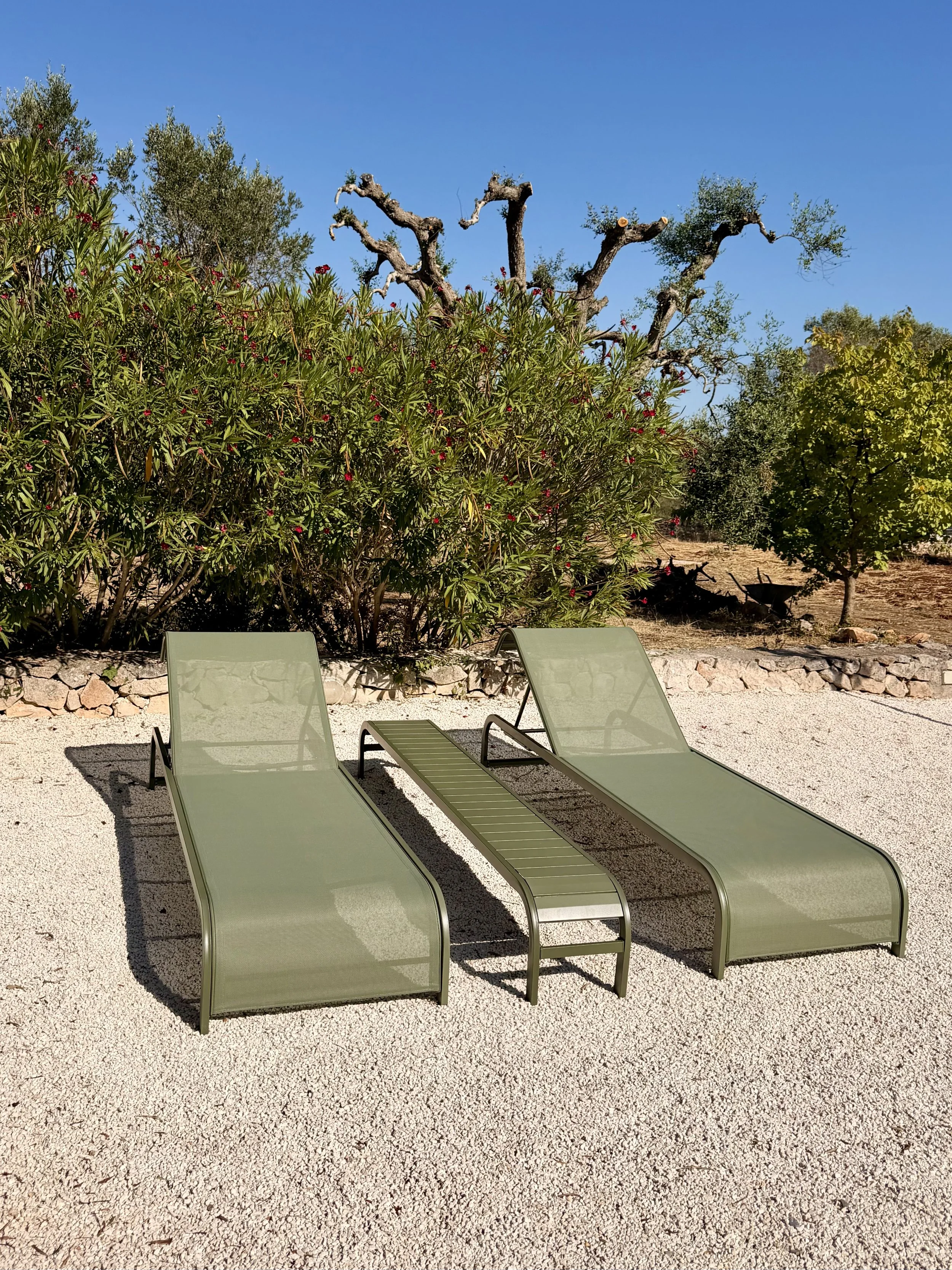 Two green sun loungers among olive trees at Trullo Ostro