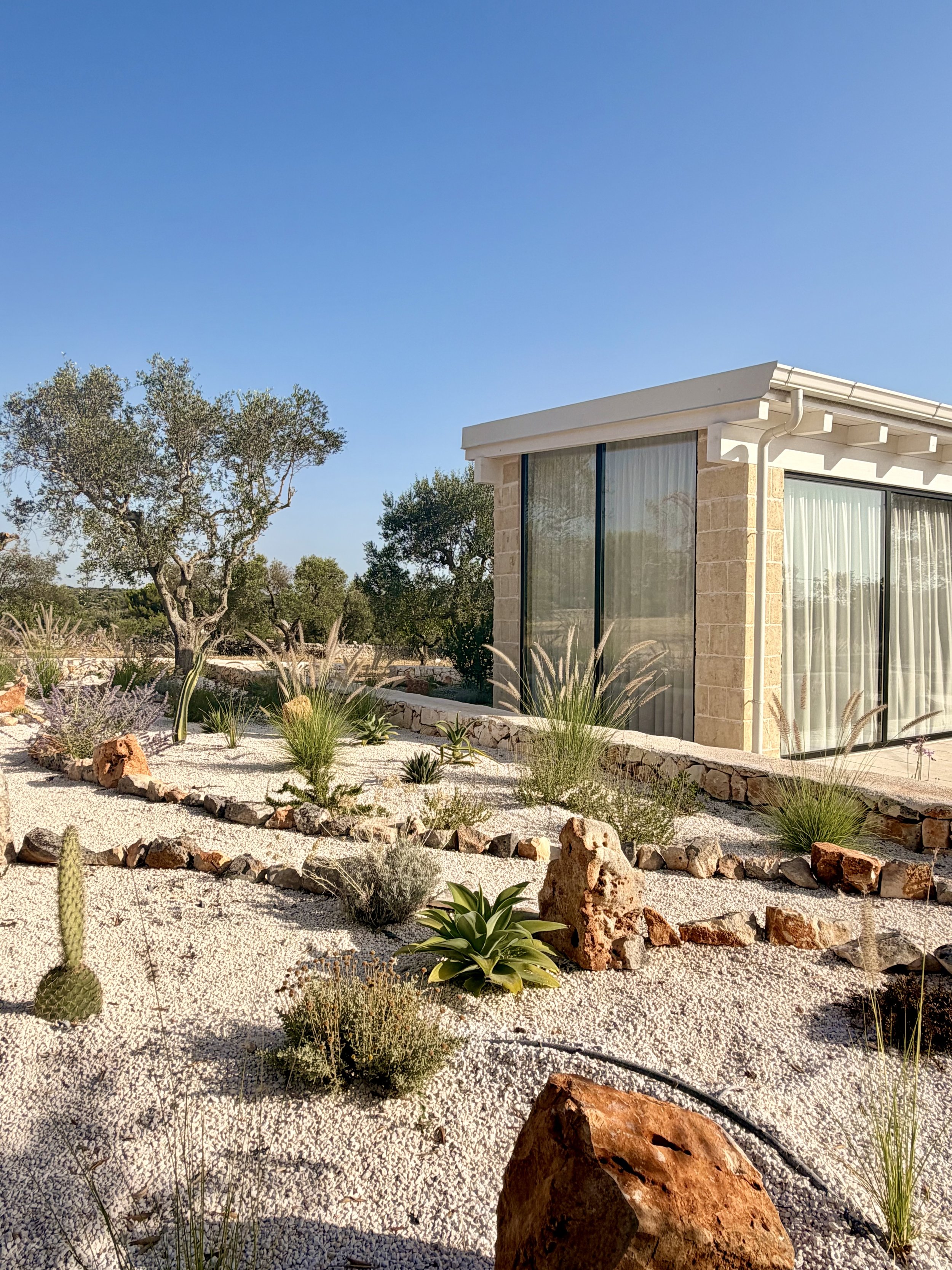 Glass-walled wing among olive trees at Trullo Ostro