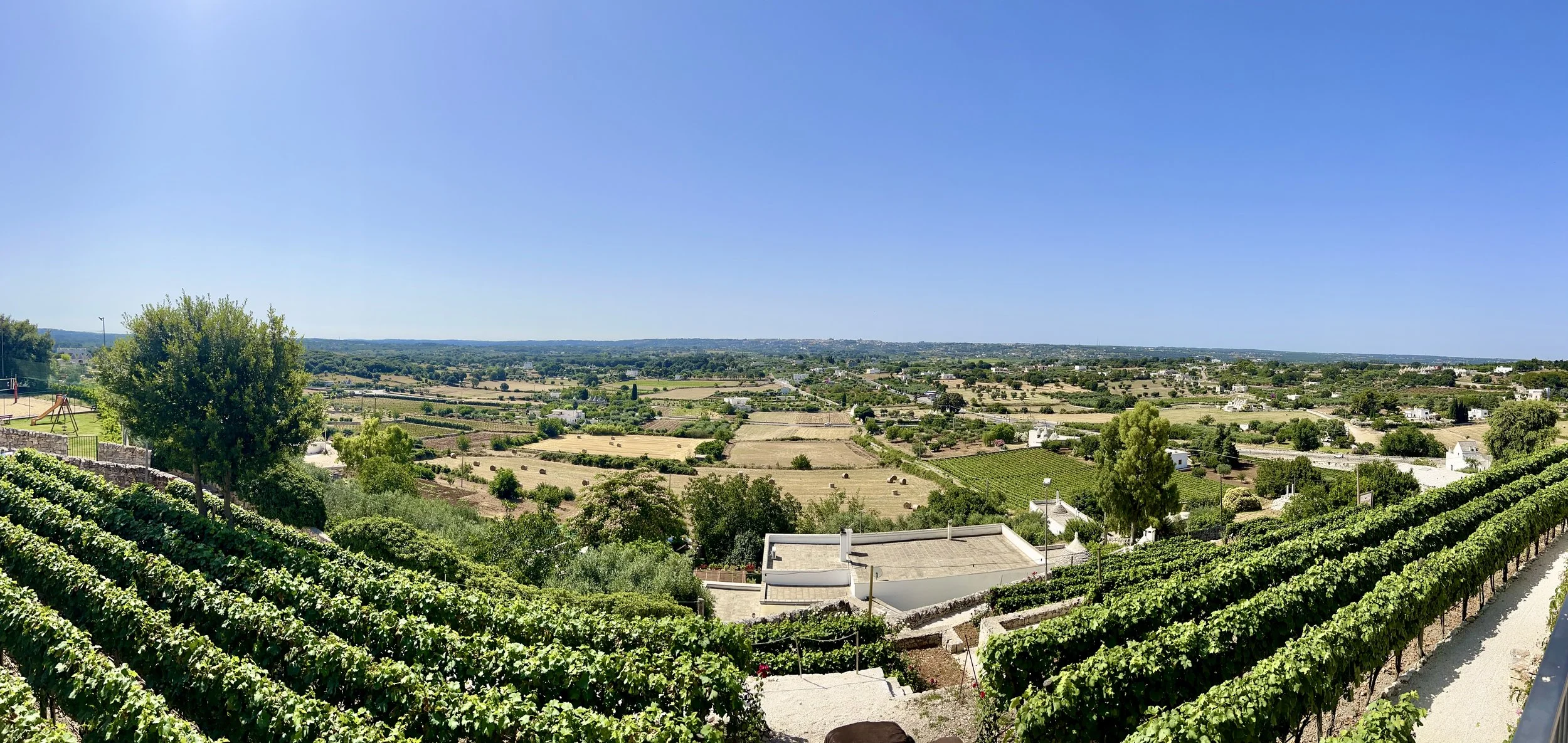 Countryside view over vineyards in Puglia