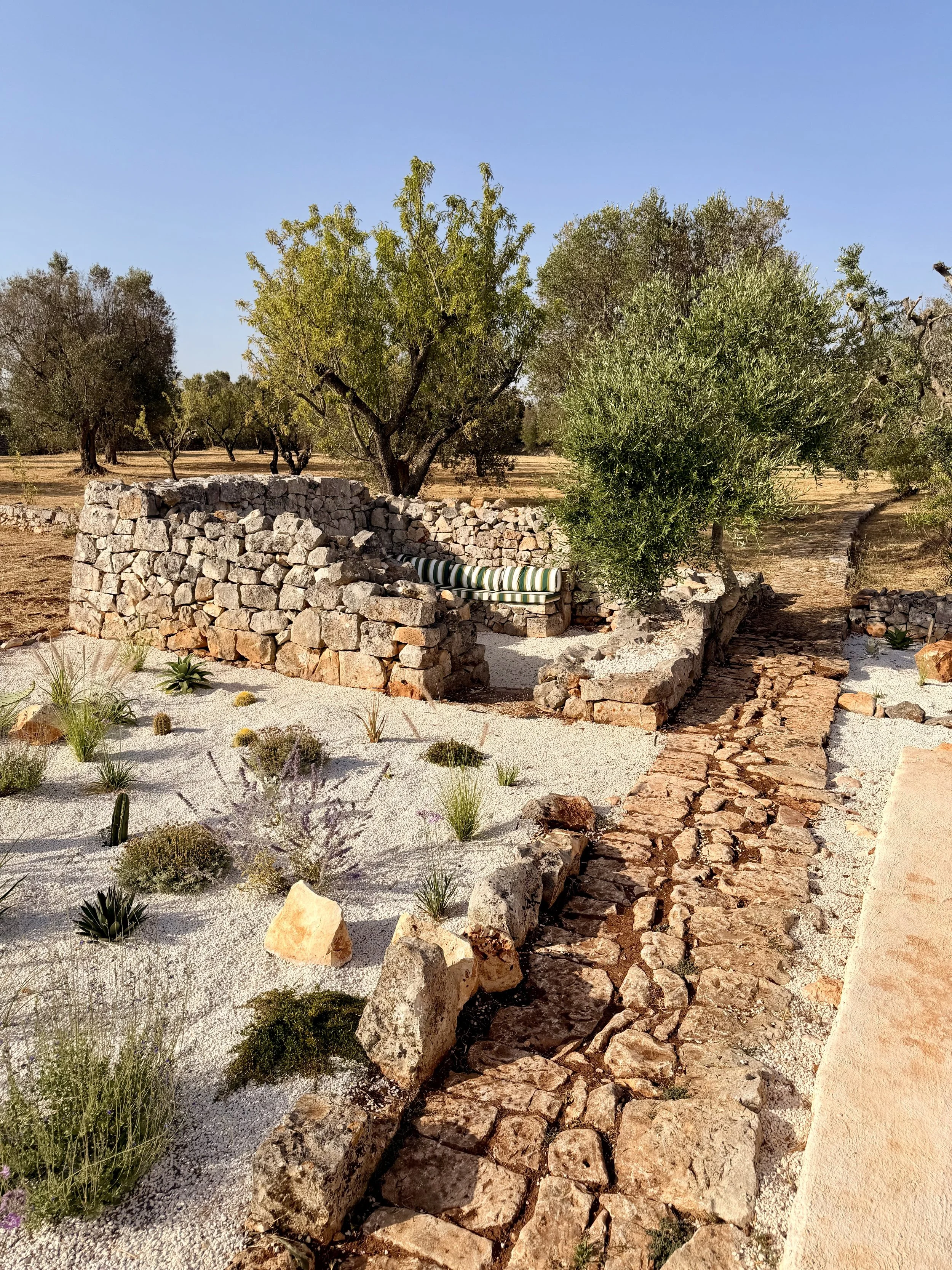 Dry-stone walls and olive trees in the garden at Trullo Ostro