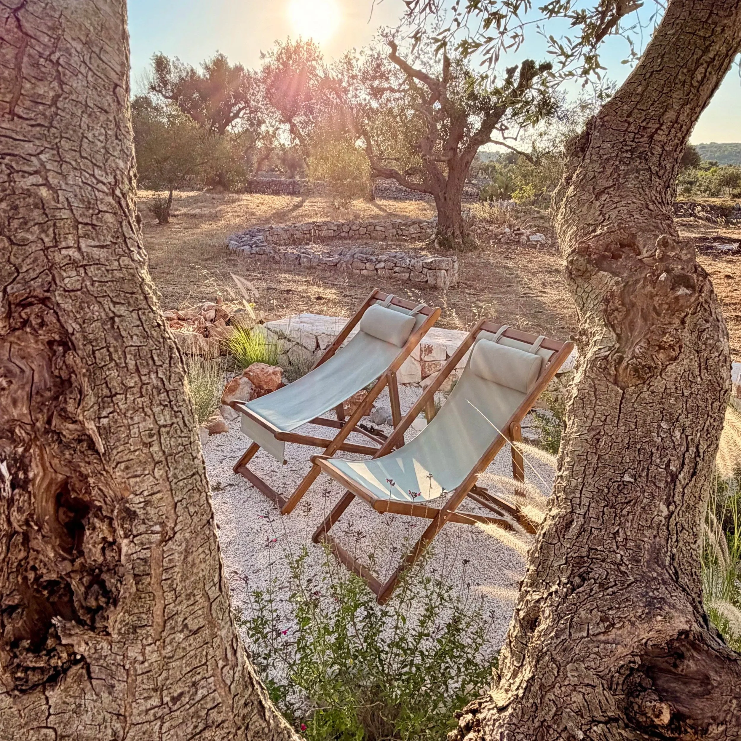Two deck chairs in the shade of olive trees at Trullo Ostro by Fable Retreats