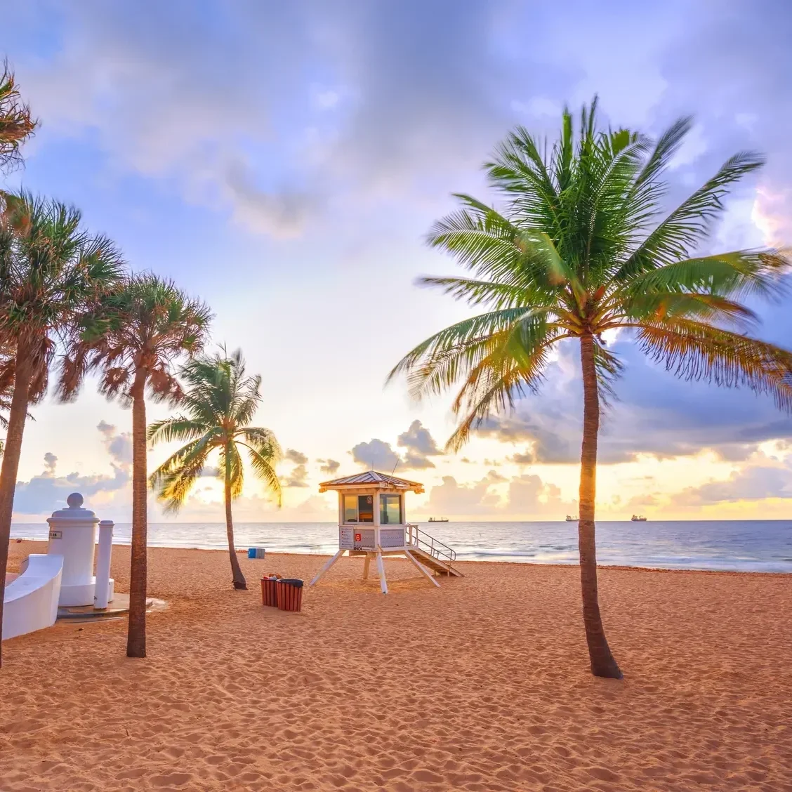 Palm trees and a lifeguard tower on a South Florida beach at sunrise