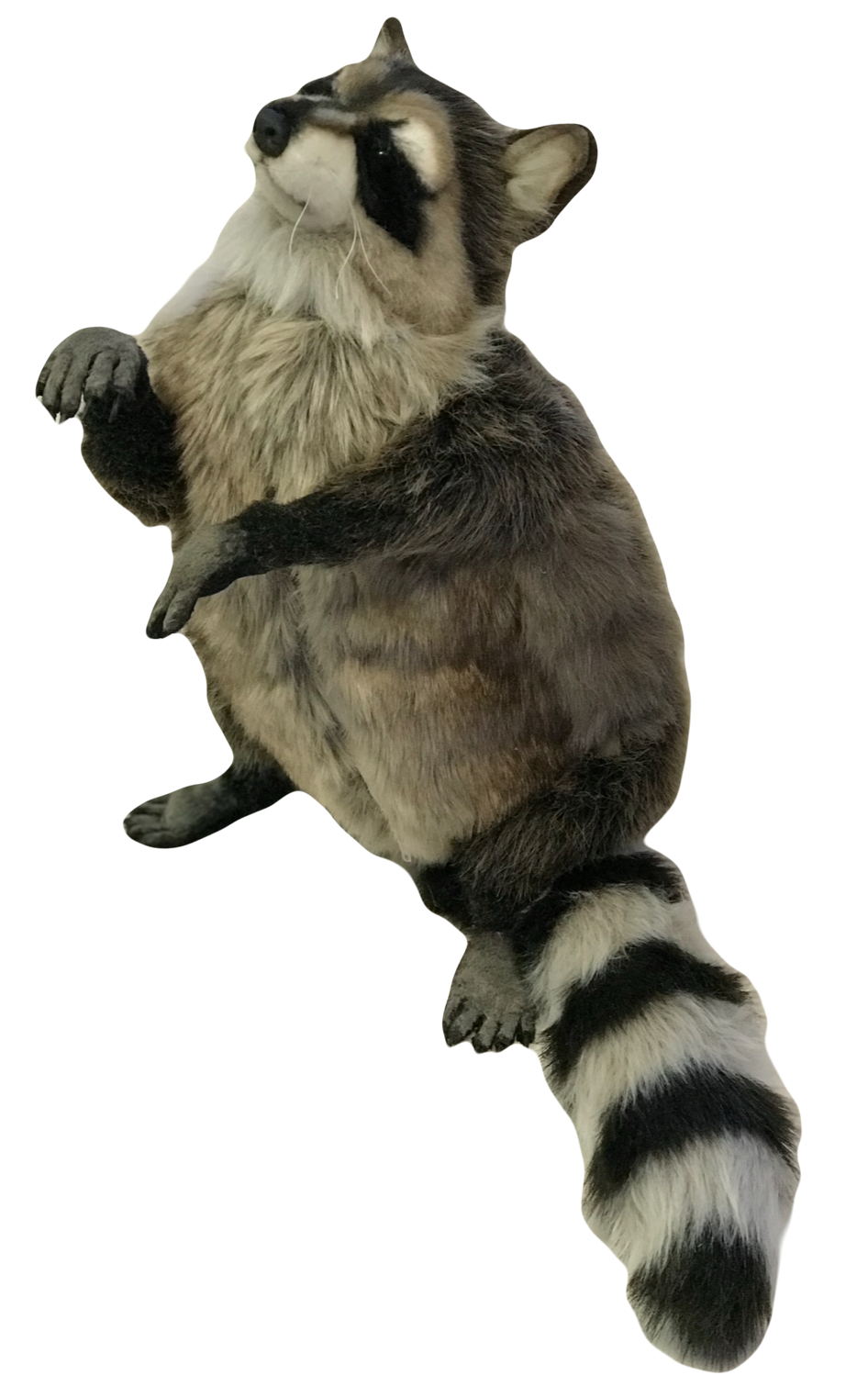 MagicEraser_250426_171415.png