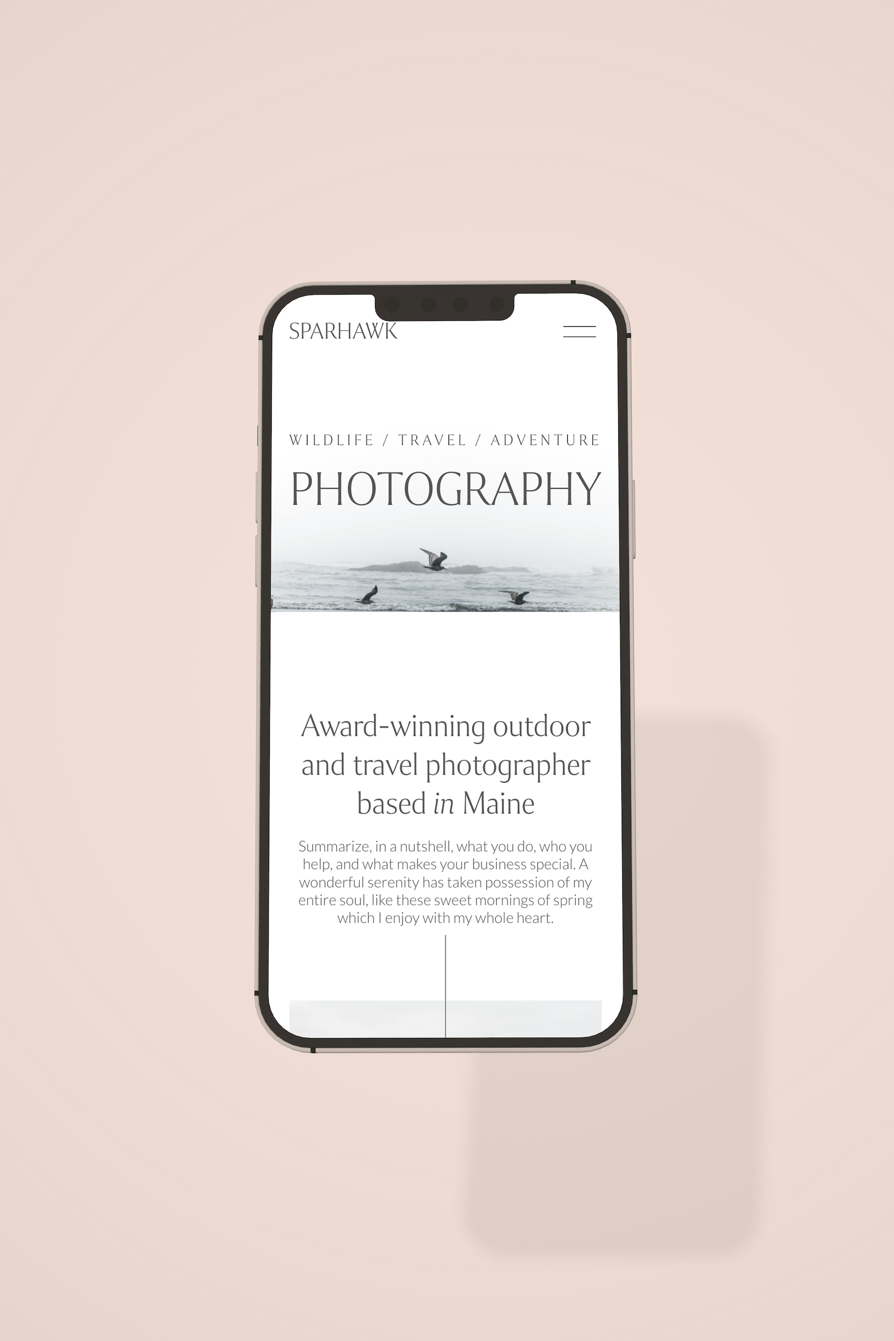 Smartphone displaying a photography website with birds flying over water and text about outdoor travel photography in Maine.