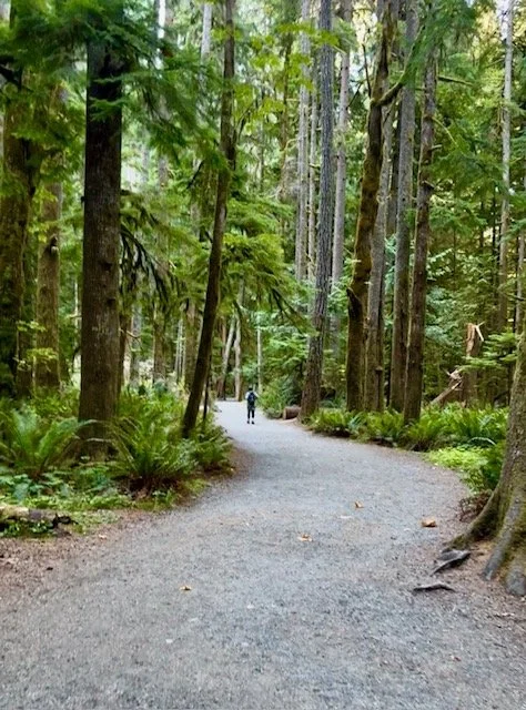 trail.jpeg