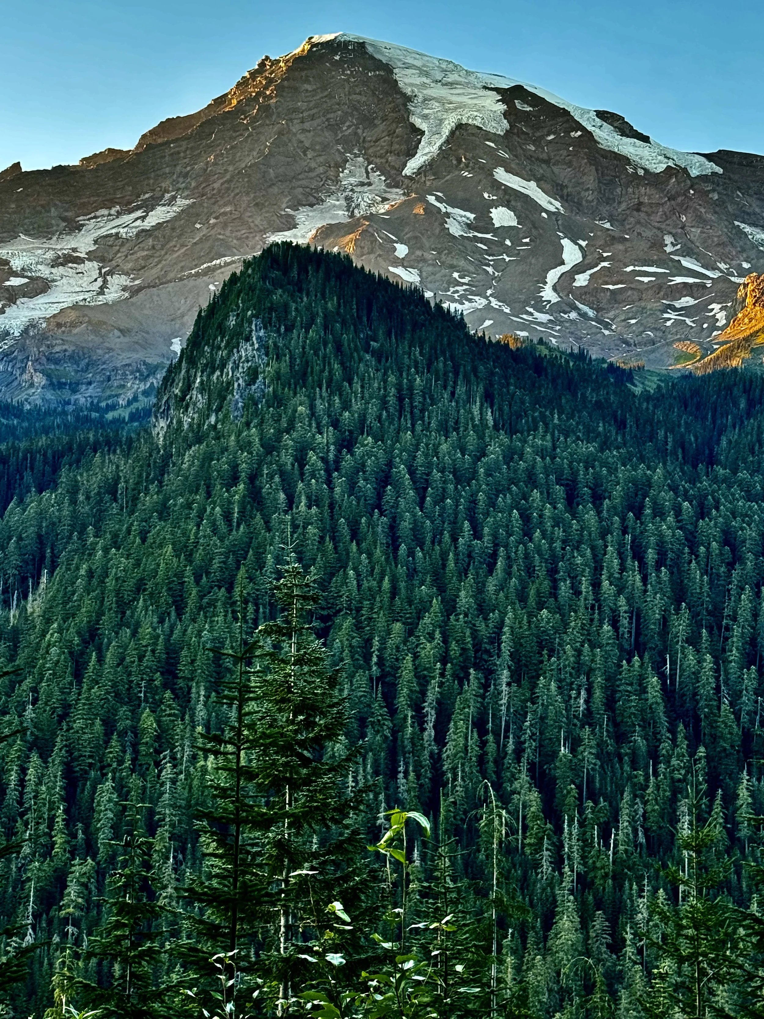 Mount Rainier 2025