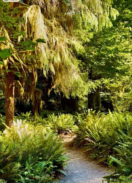 mosses.jpg