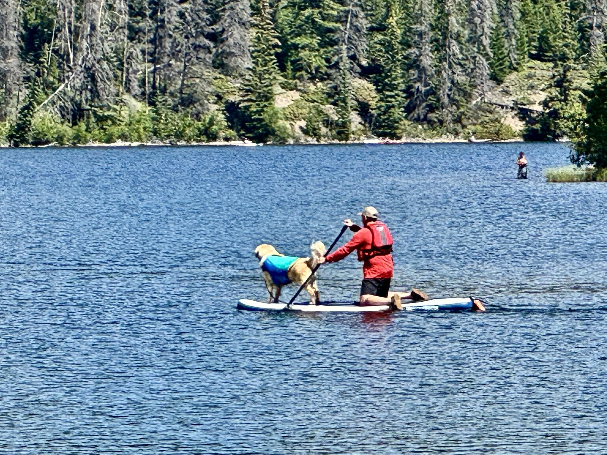 IMG_8215.jpg
