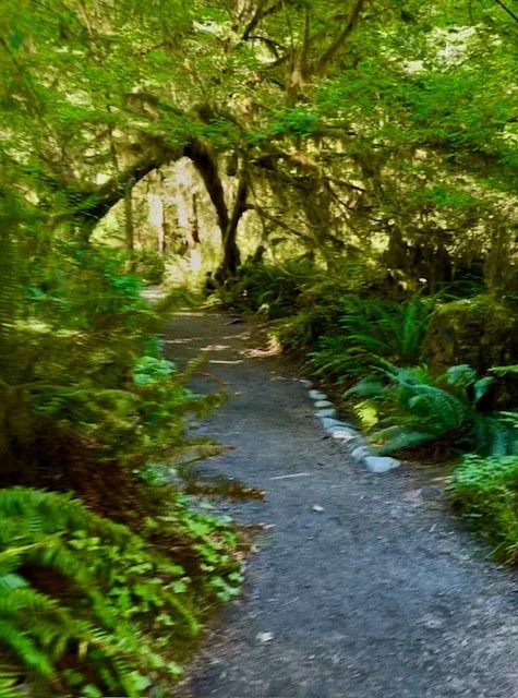 Spruce Trail.jpg