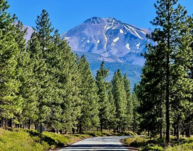 Mount Shasta 2025