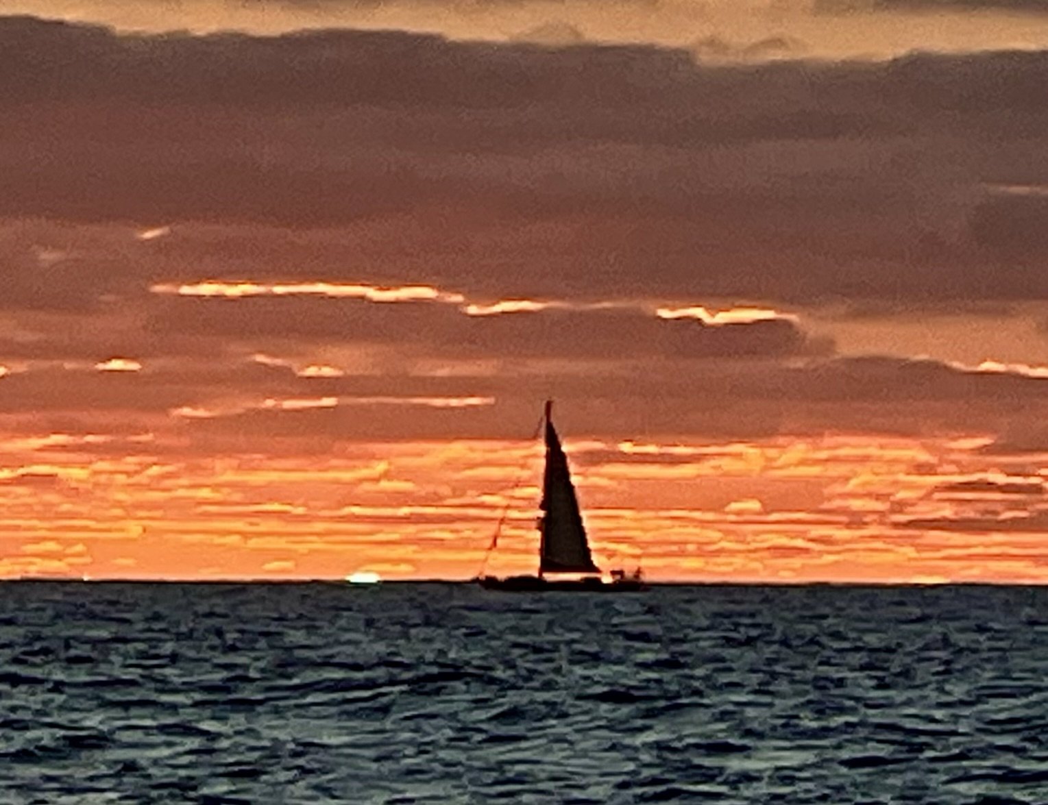 Baja Ha Ha 2025, Floating Down the Coast