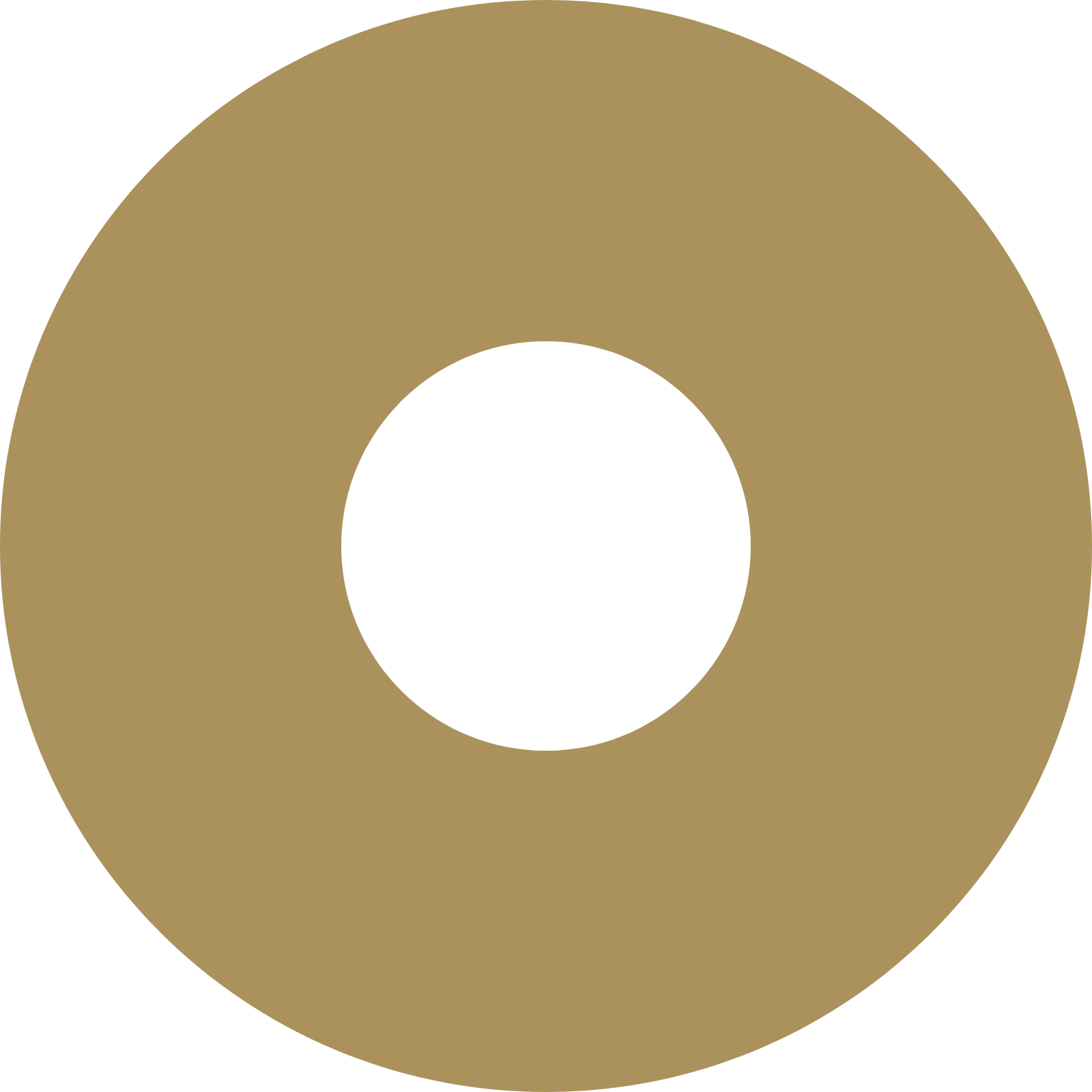 A large brown circle surrounding a smaller white circle, resembling a compact disc or vinyl record.