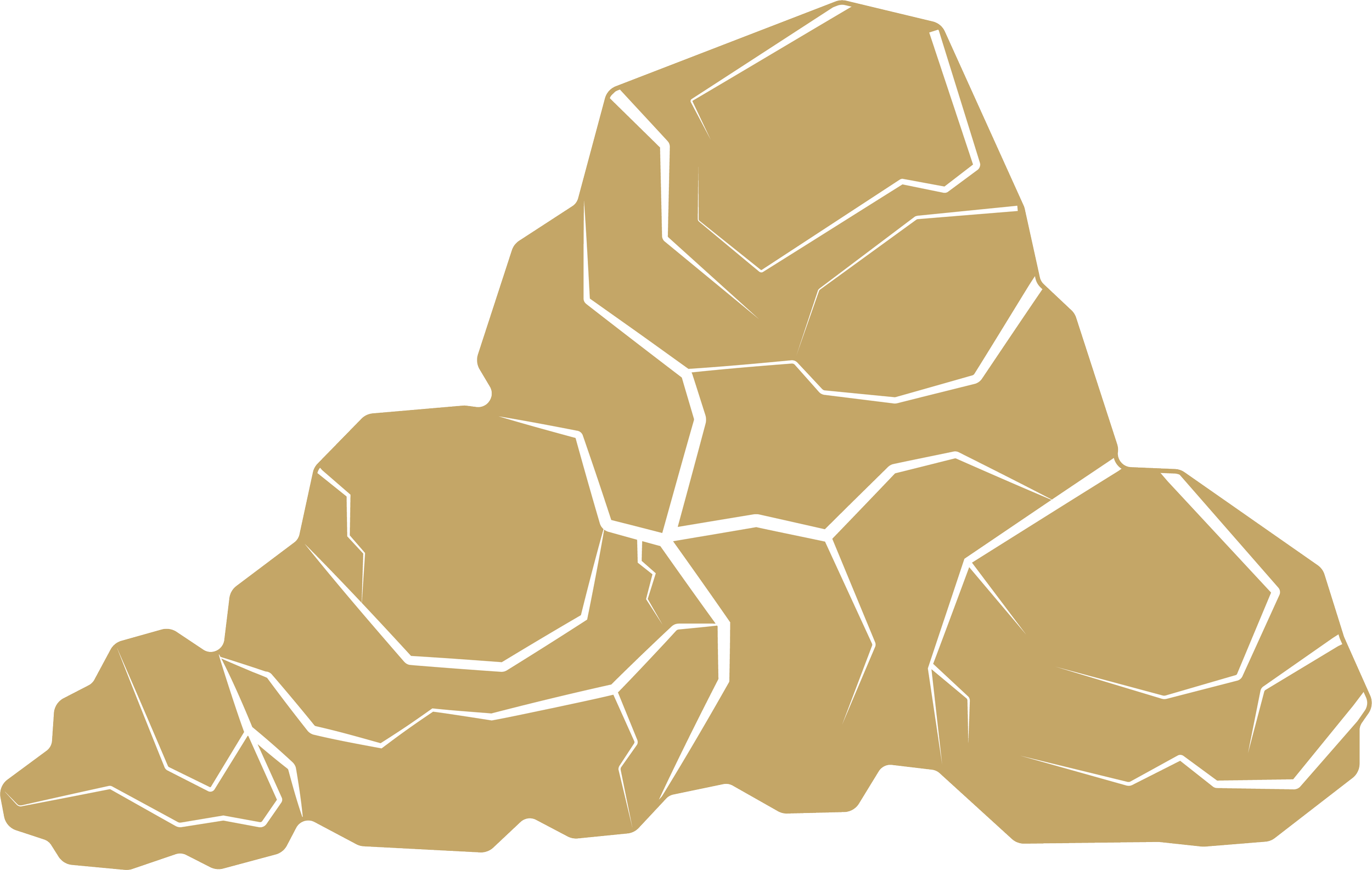 A digital illustration of a ginger root with segmented, irregularly shaped sections outlined in white on a black background.