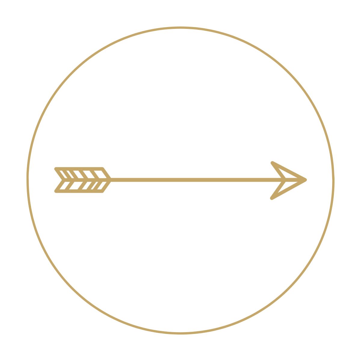 Simple graphic of a gold arrow pointing to the right within a gold circle.