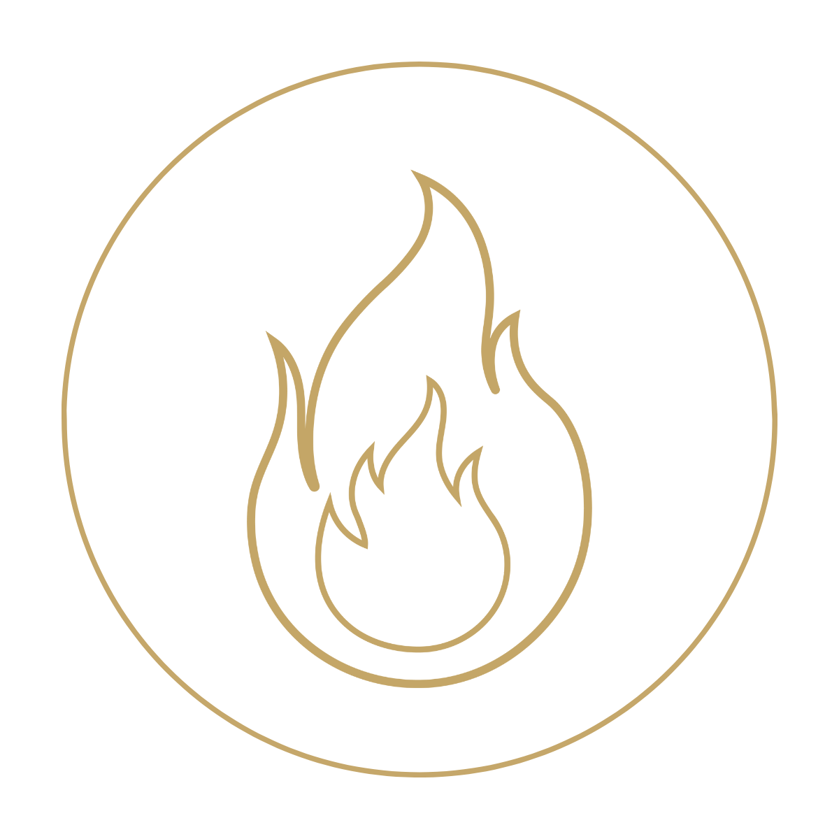 Outline of a flame inside a circle, depicted with thin lines in a minimalist style.