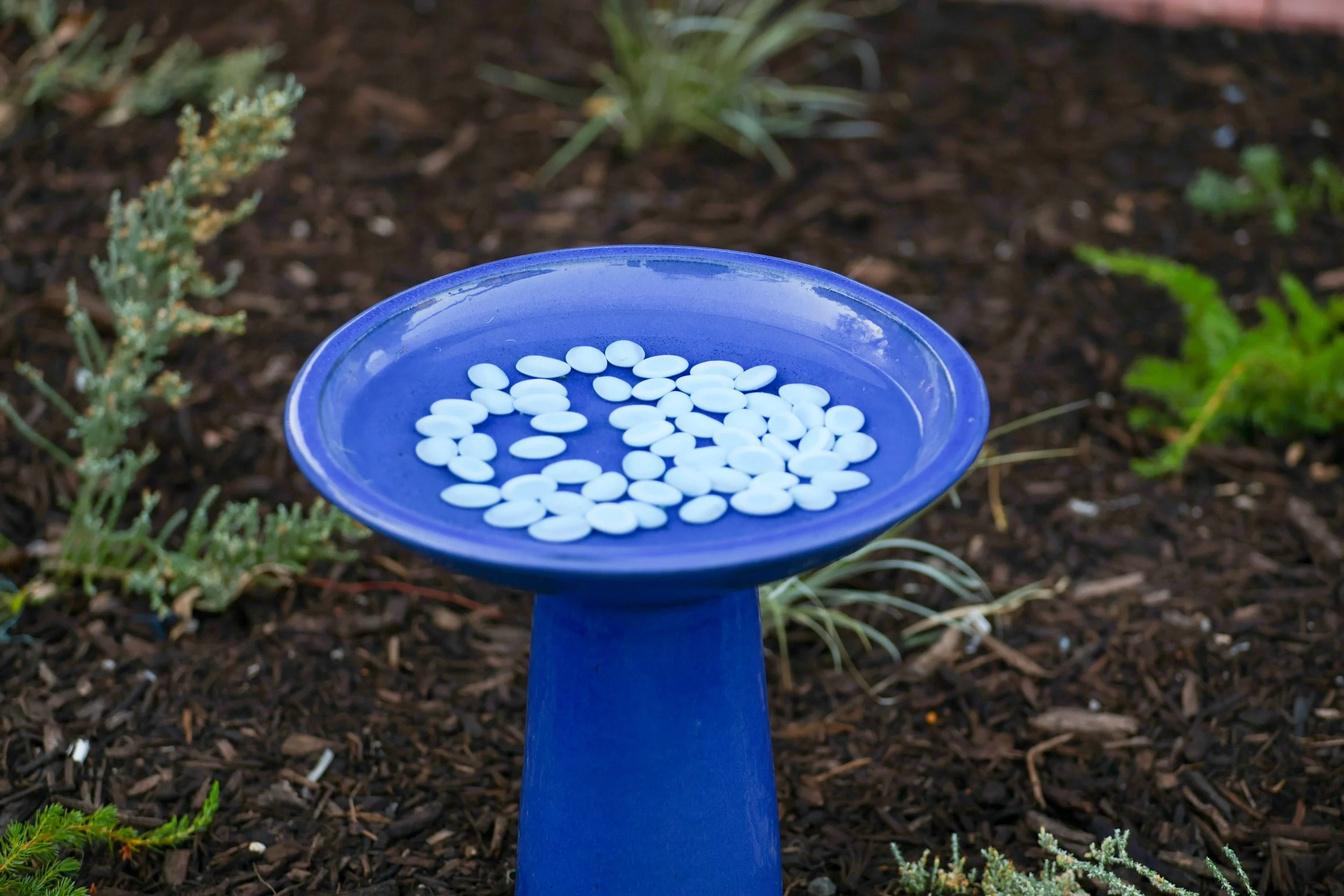 Joli Green opening 6 March 2026-2298.jpg