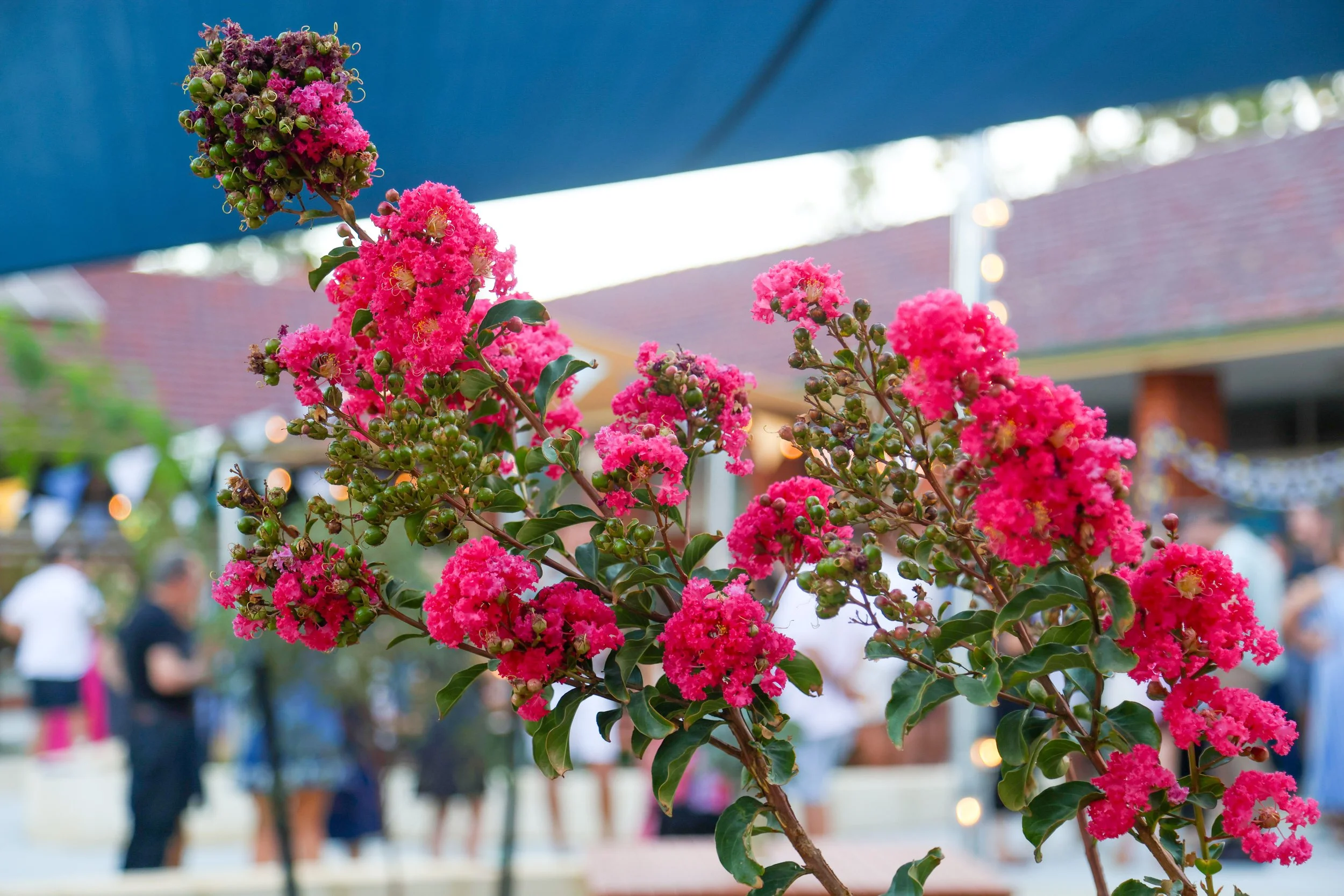 Joli Green opening 6 March 2026-2426.jpg