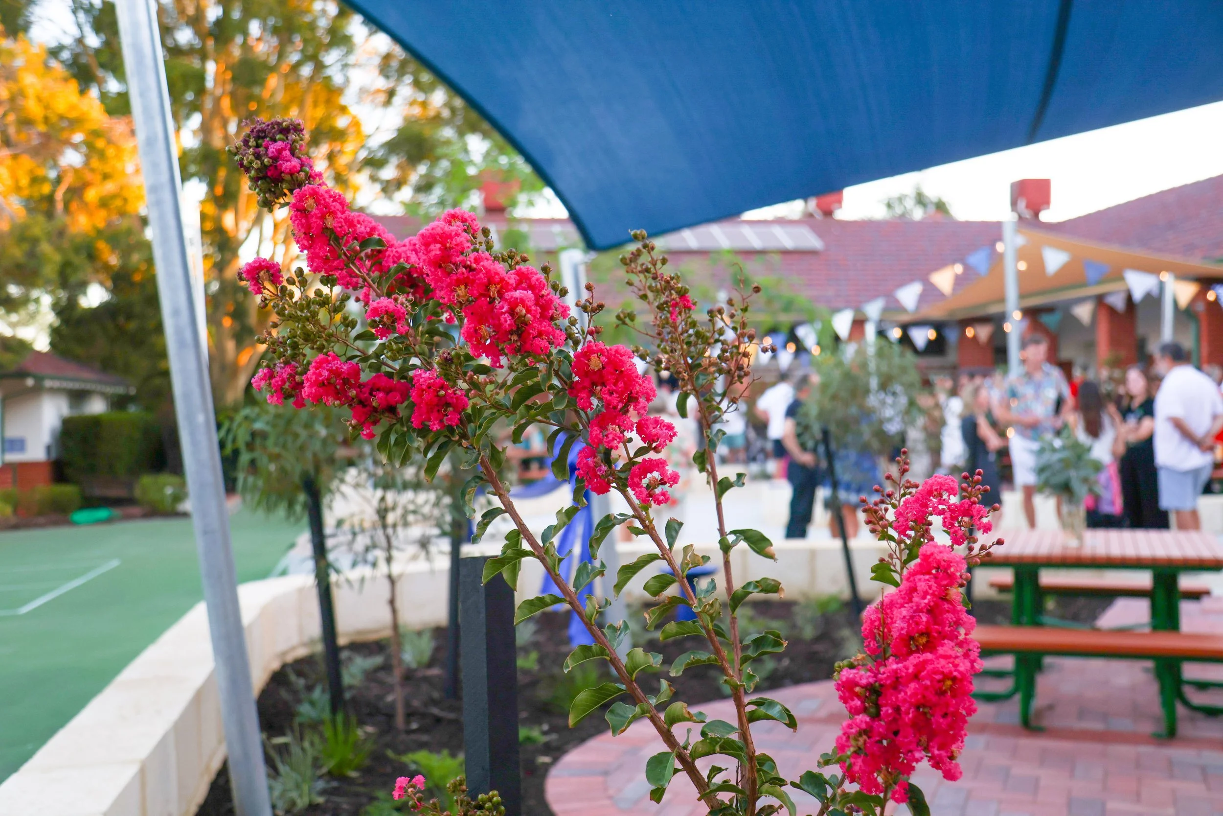 Joli Green opening 6 March 2026-2422.jpg