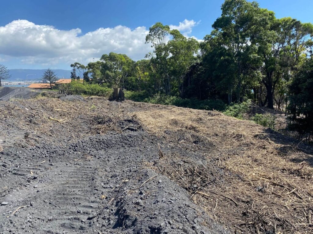 Rejuvenation Works For Resource Reclamation