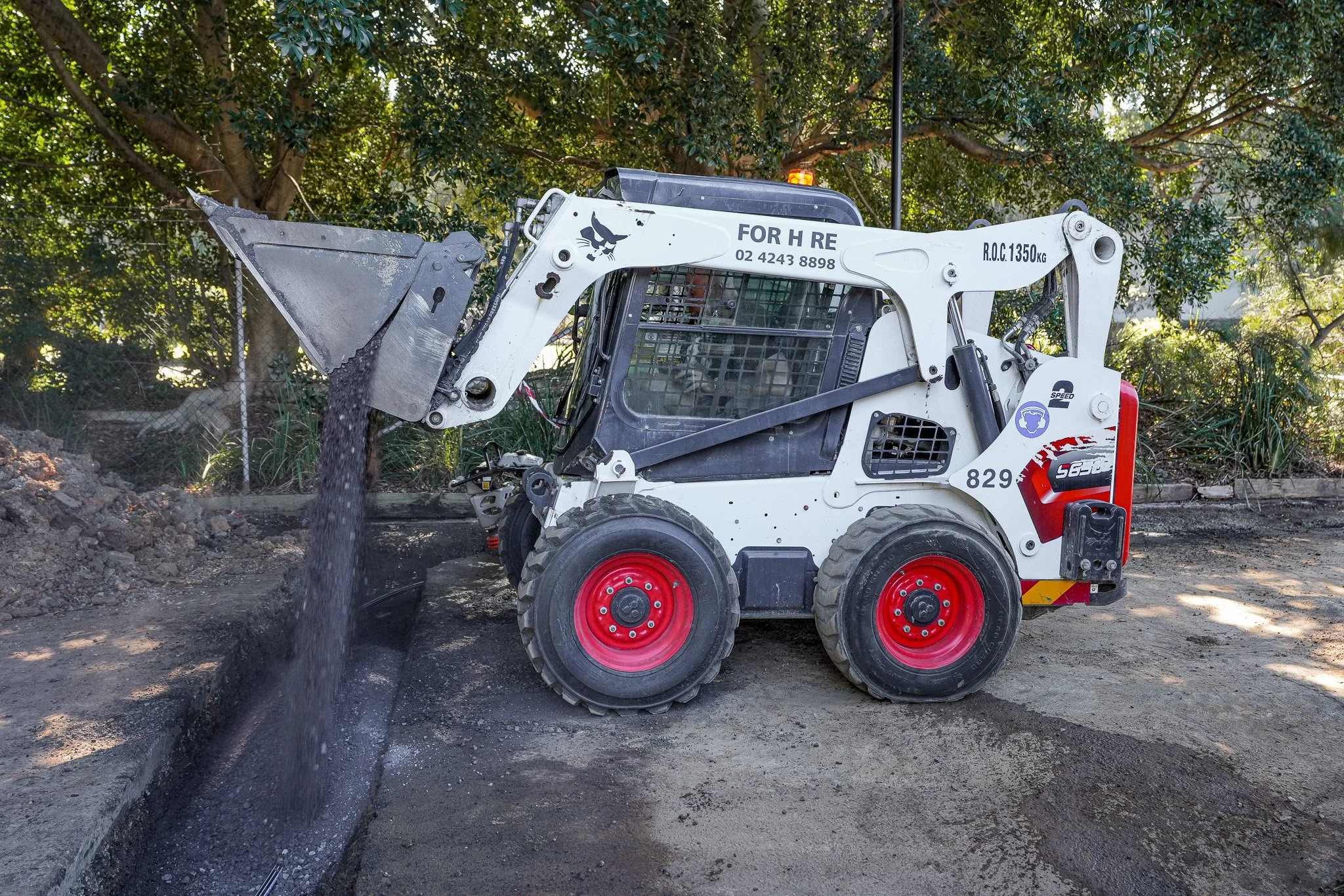 Small construction skid-steer loader pouring black asphalt into a trench at a construction site, surrounded by trees and dirt.