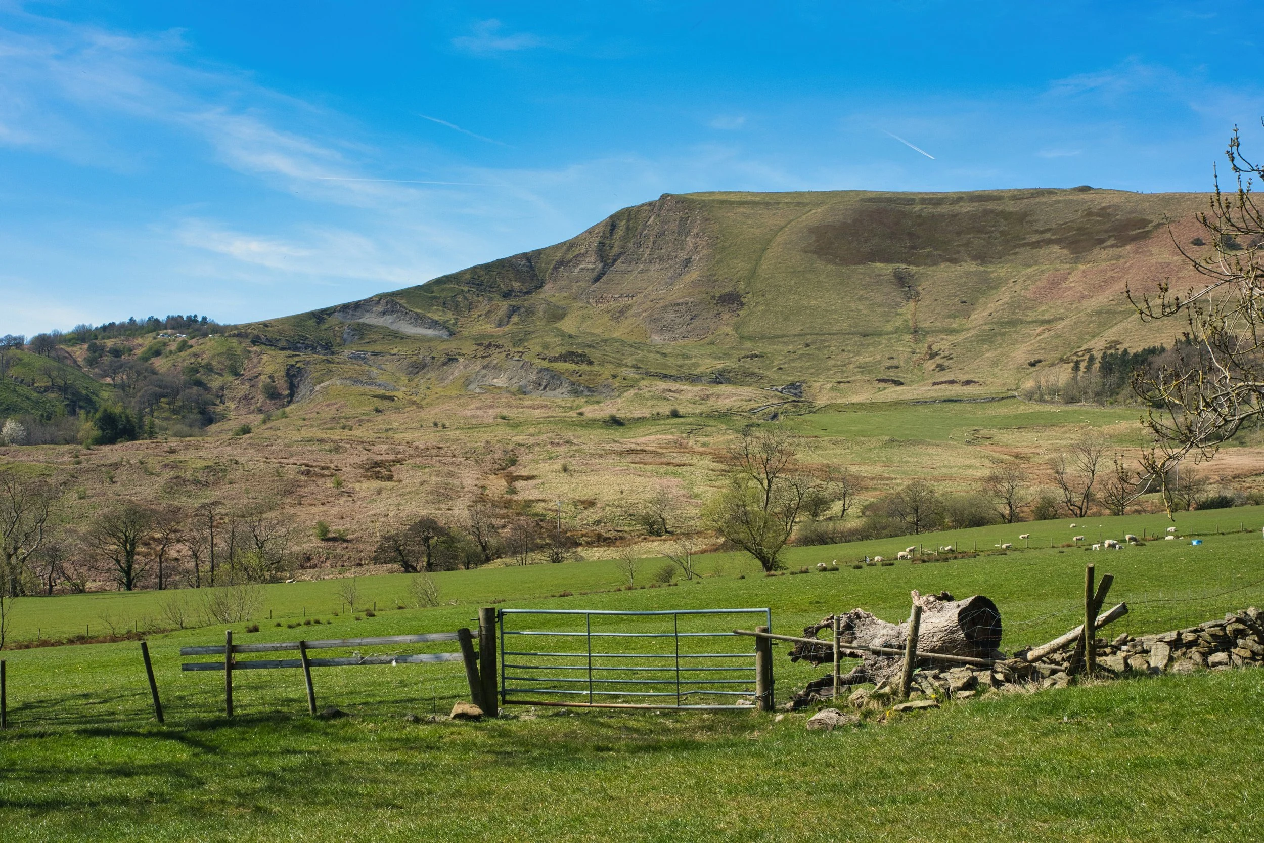 MAM_TOR_0002.jpg