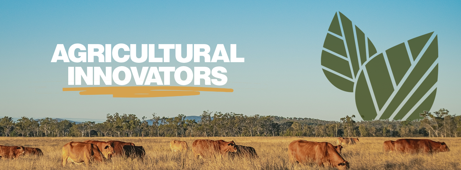 Covered Feeders for Cattle Across Regional Queensland