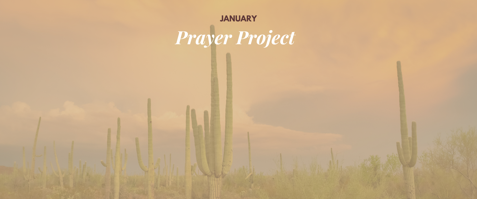 Prayer project hero page 