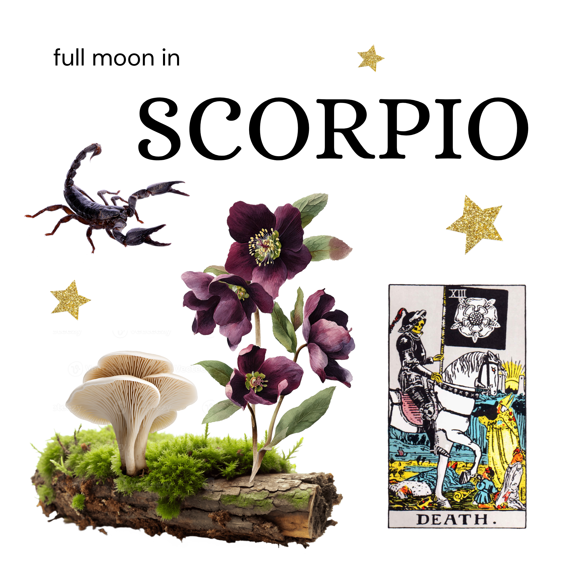 Full Moon in Scorpio