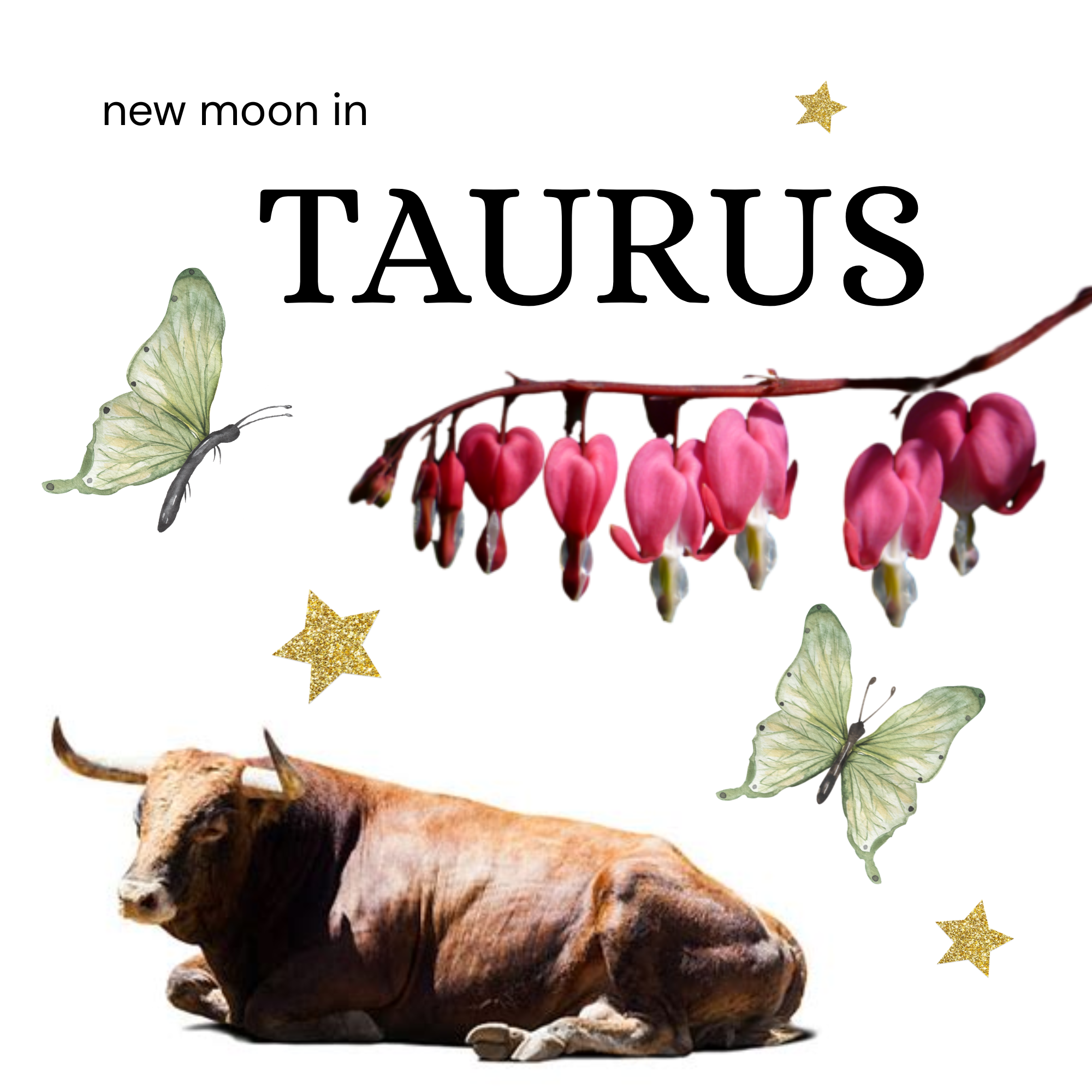 New Moon in Taurus
