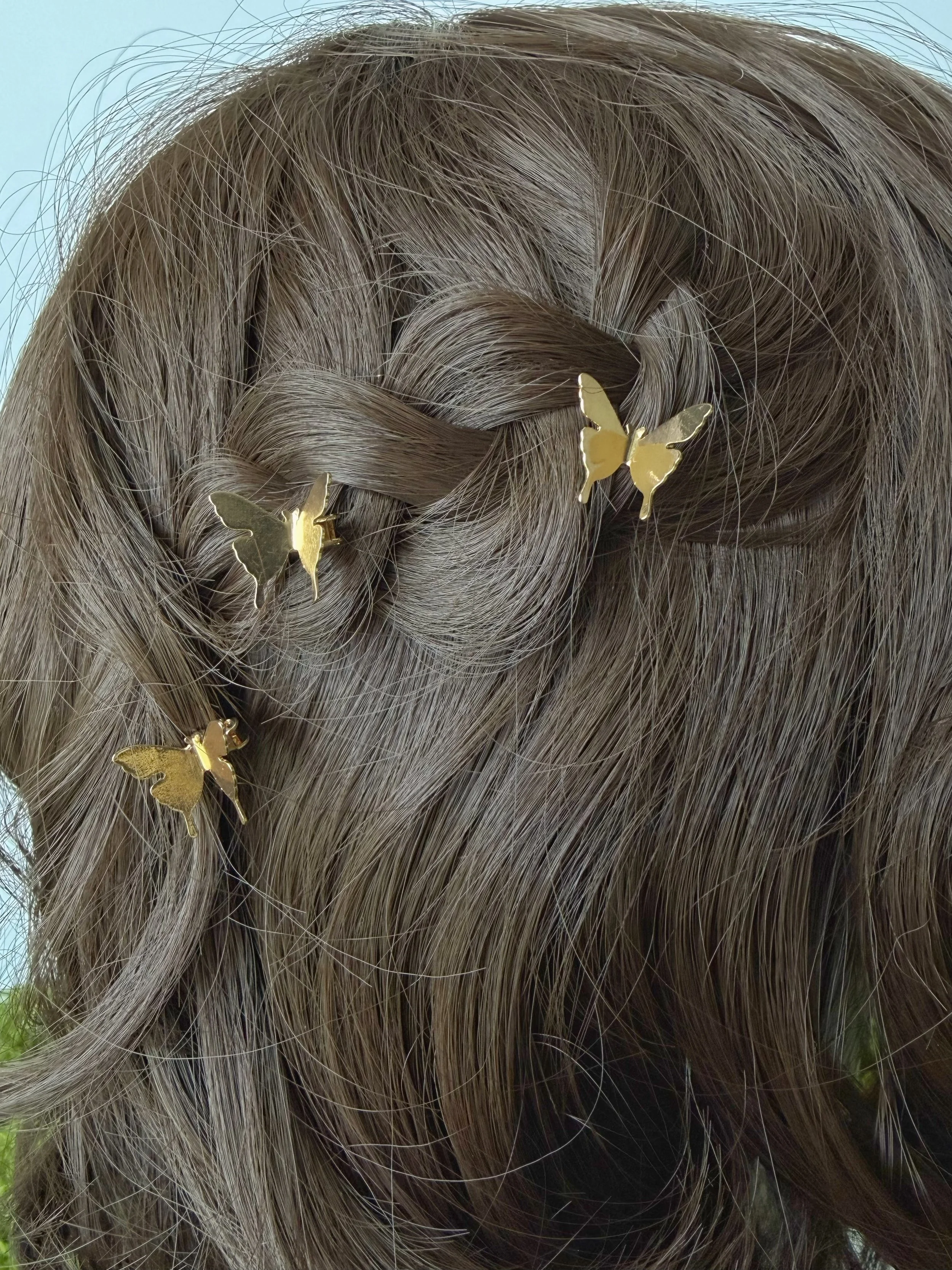 Butterfly Hair Clips