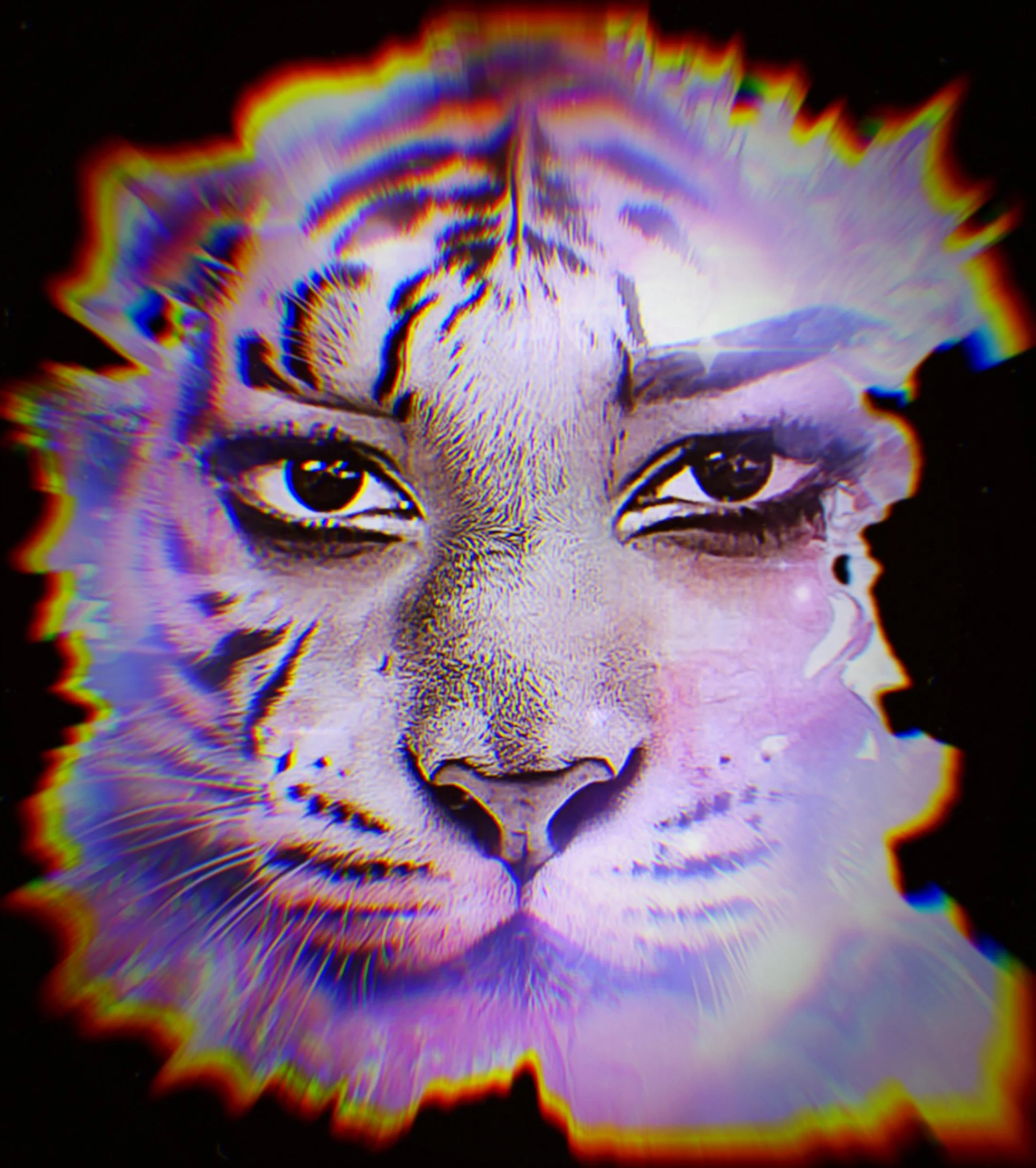 Official Logo and brand face for Laidee P. A Top rated, award winning Minnesota DJ. Owner of FELINE MU$IK & Ent.