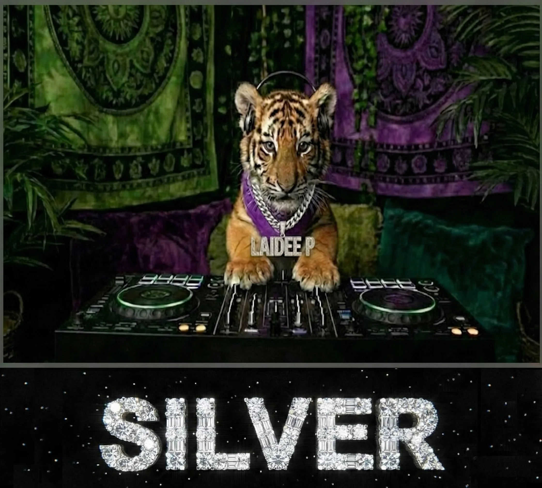 Laidee P's Silver Package Button. DJ and public figure Laidee P. Minnesota DJ. Atlanta DJ. Female Business Owner