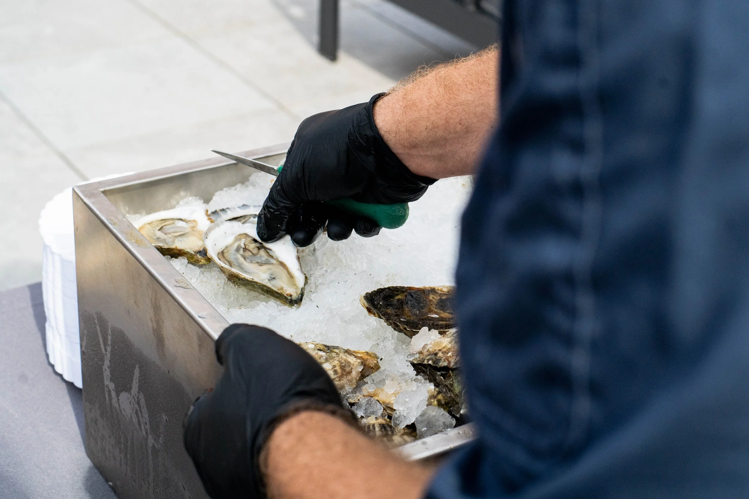Person wearing black gloves opening oysters on a bed of ice in a metal container. oyster bar boston new england