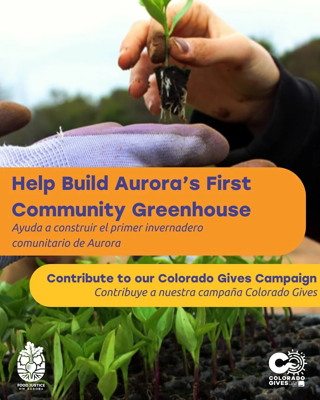 🫜 Help Bring FJNWA&rsquo;s Greenhouse to Life! 🫜

🔗 Click the link in our bio to view the campaign and contribute!

Colorado Gives Day is a movement to encourage people statewide to contribute to the causes they care about. For this Colorado Gives
