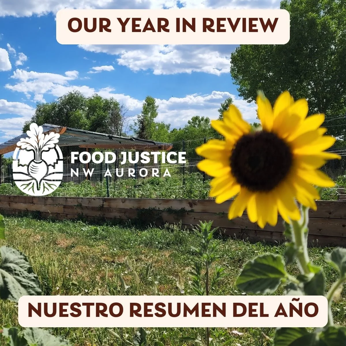 🎊Happy New Year from Food Justice NW Aurora!🎊

2025 has been an incredible year of 🌱growth🌱 for our organization. As we wrap up the year, we want to take a moment to celebrate the milestones and developments. We thank the residents, community lea