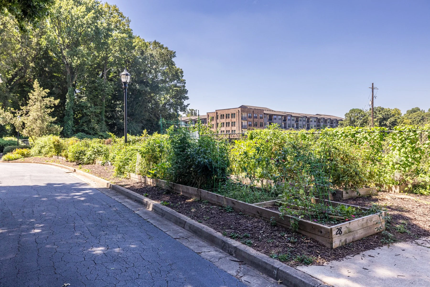19.6 garden.jpg