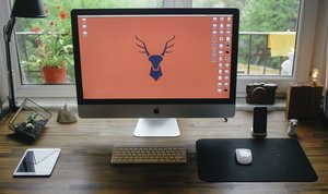 Workstation Ergonomics