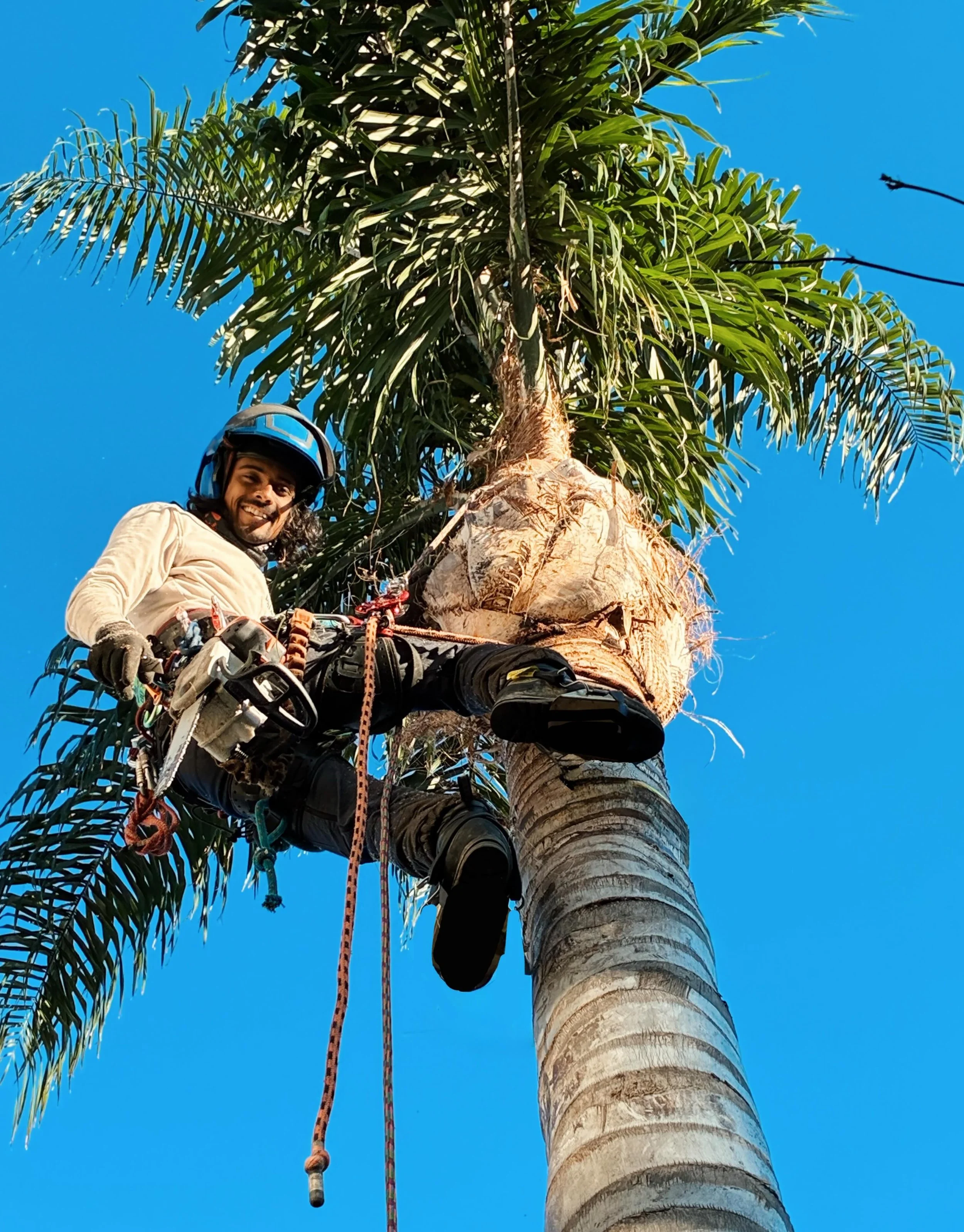 Meet our new arborist, Jimmy 👋🏾

Also from Fiji 🇫🇯
Loves to eat - especially the sweet carbs 🍩
Drives a fancy car on the weekend 🫰
Crazy enough to climb the palms 🌴