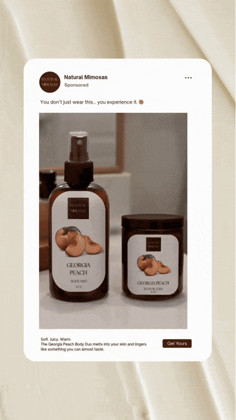 INTRODUCE THE PRODUCT