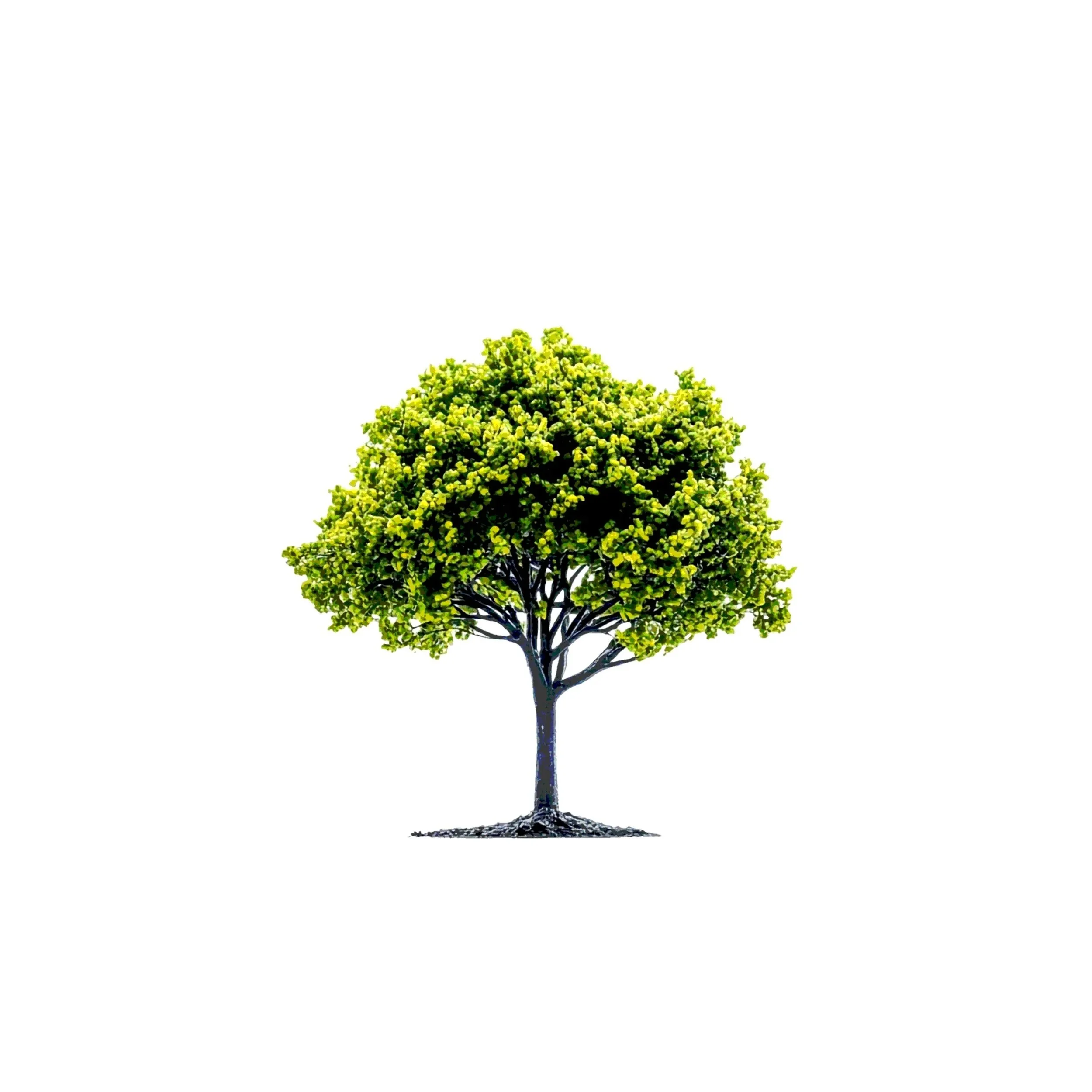 family therapy, family issues, family counseling