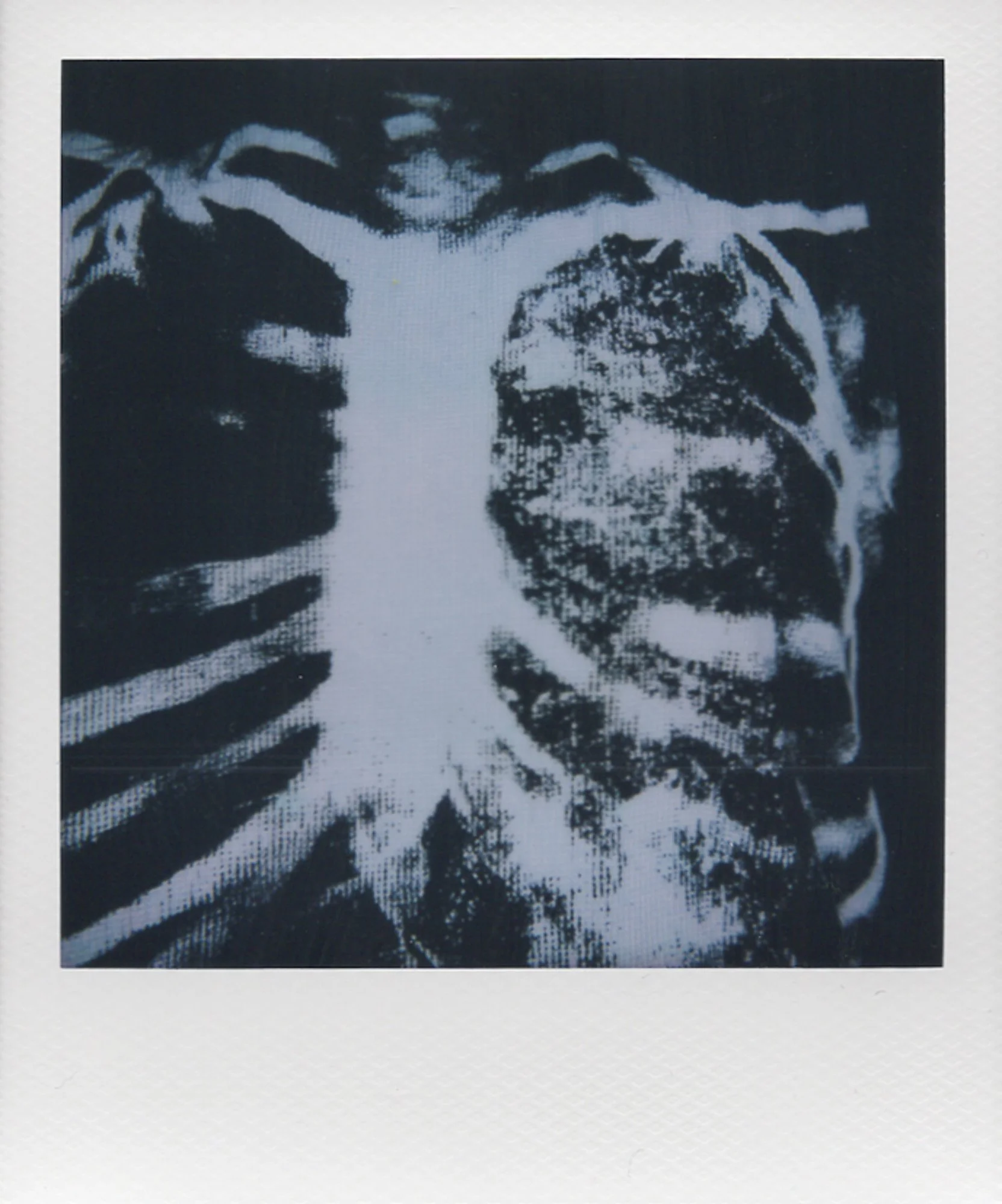 FaithZapata_NeckoftheWoods_AC_Polaroids-1.jpg
