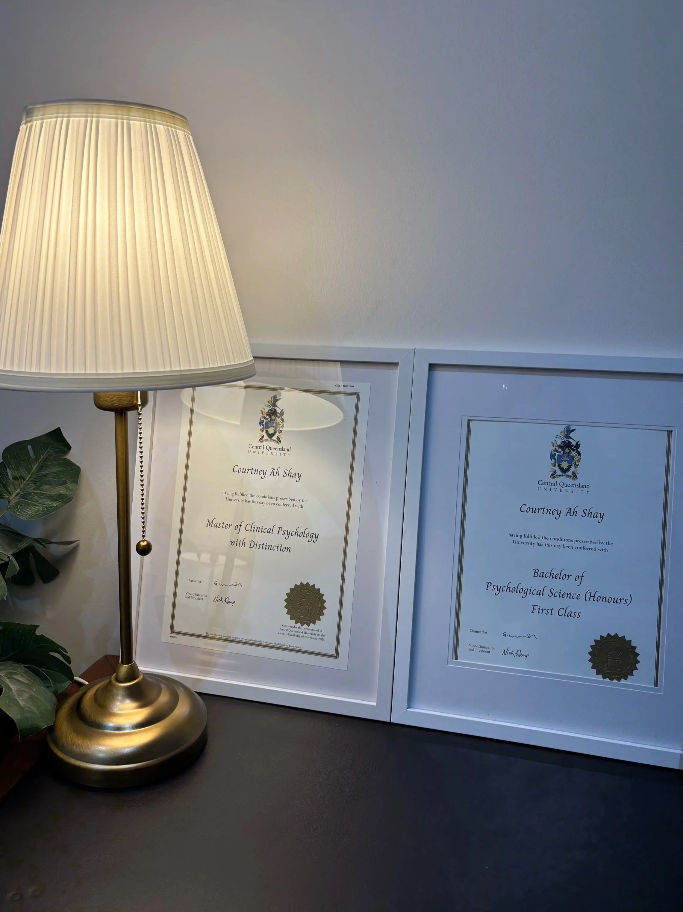 Two framed diplomas resting on a gray desk, with a lamp with a white shade and brass base on the left, and some green plants partly visible next to the lamp.
