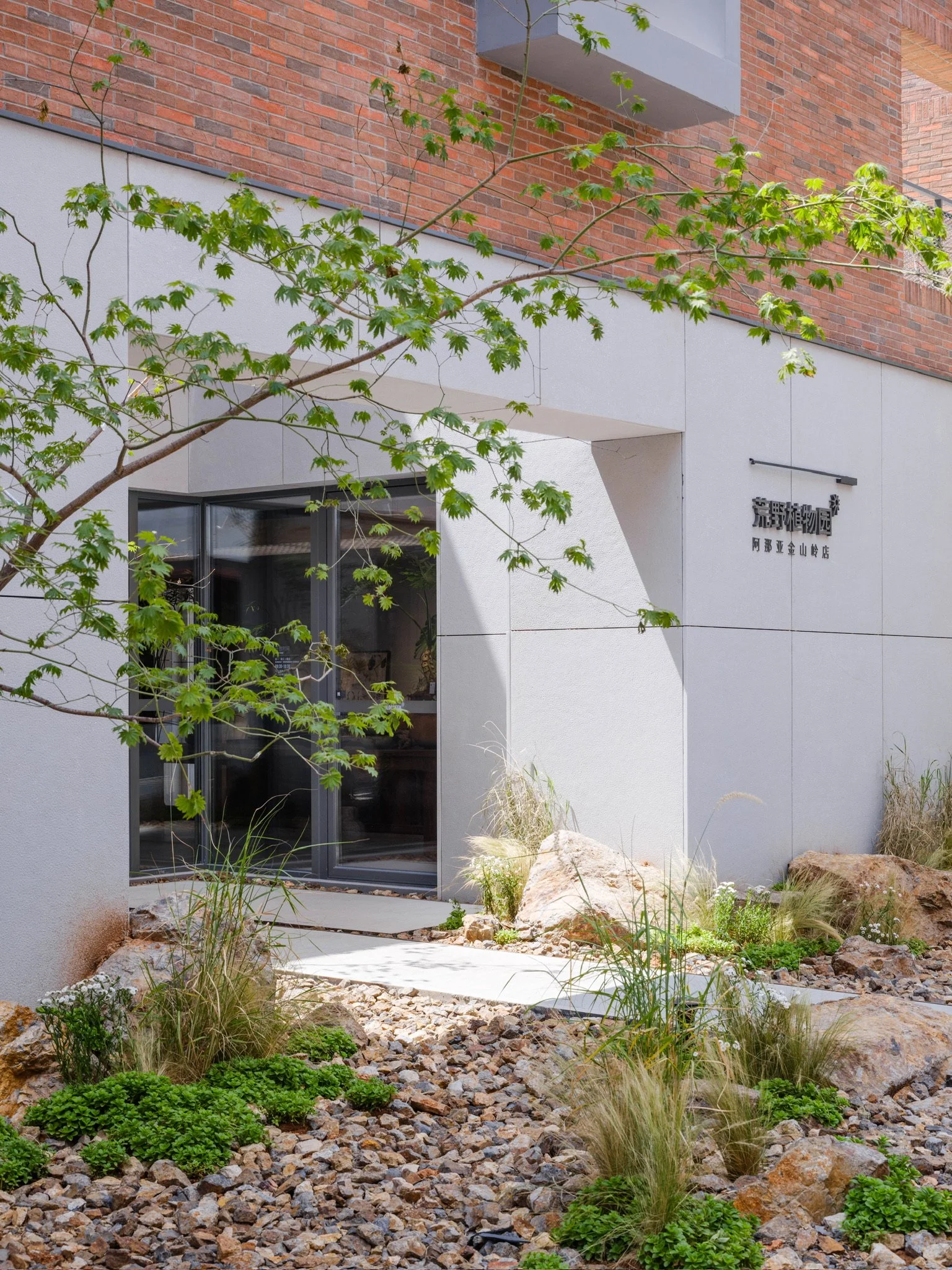 Wilderness Botanical Garden · Aranya