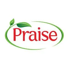 Praise logo.jpg