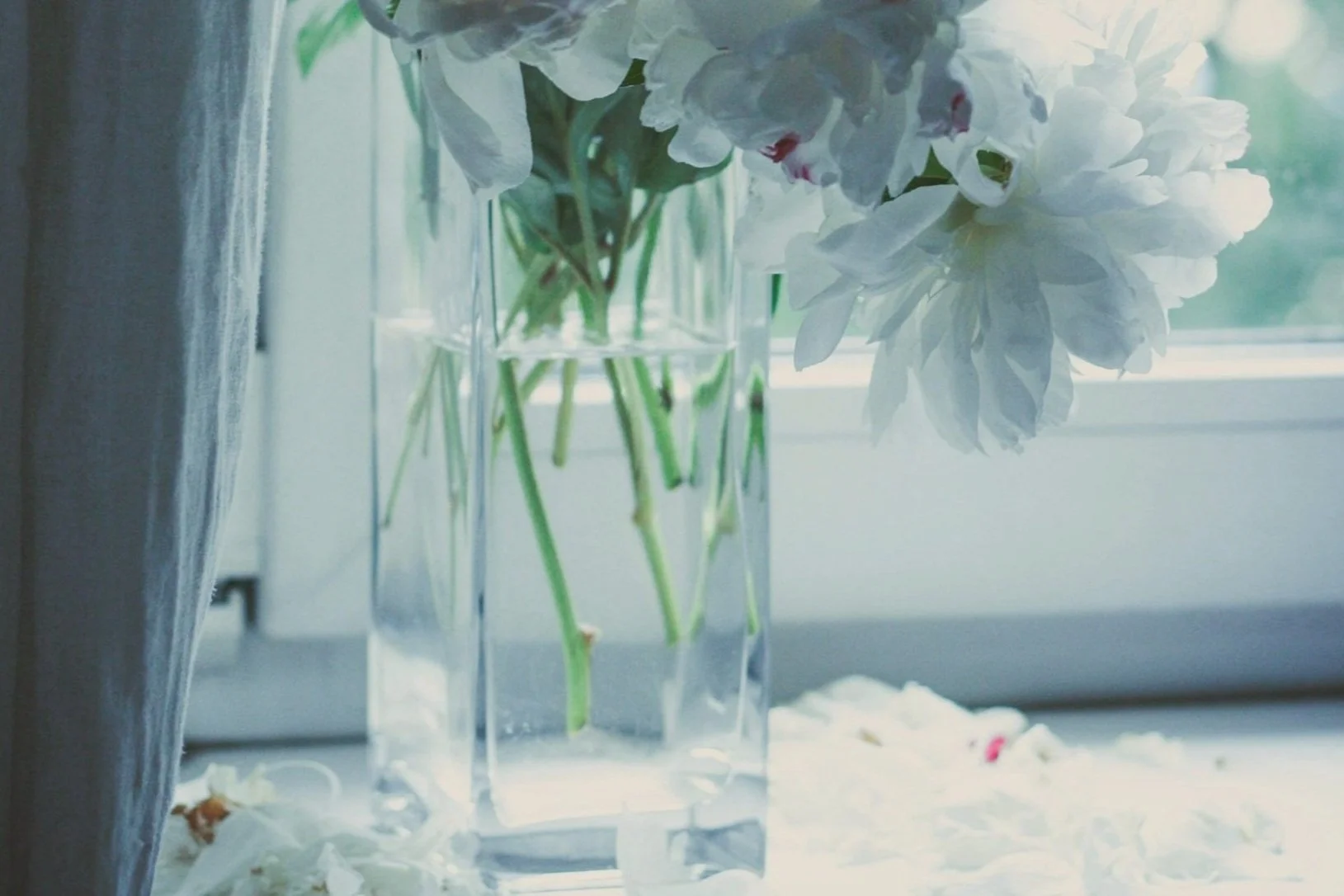 The Day After Mother’s Day: When the Mind Won’t Let Go