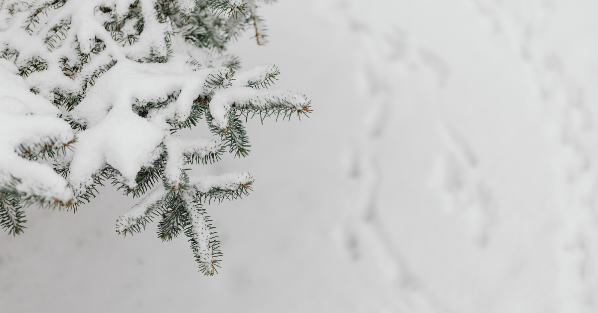 What If January Isn't Asking You to Begin Again?