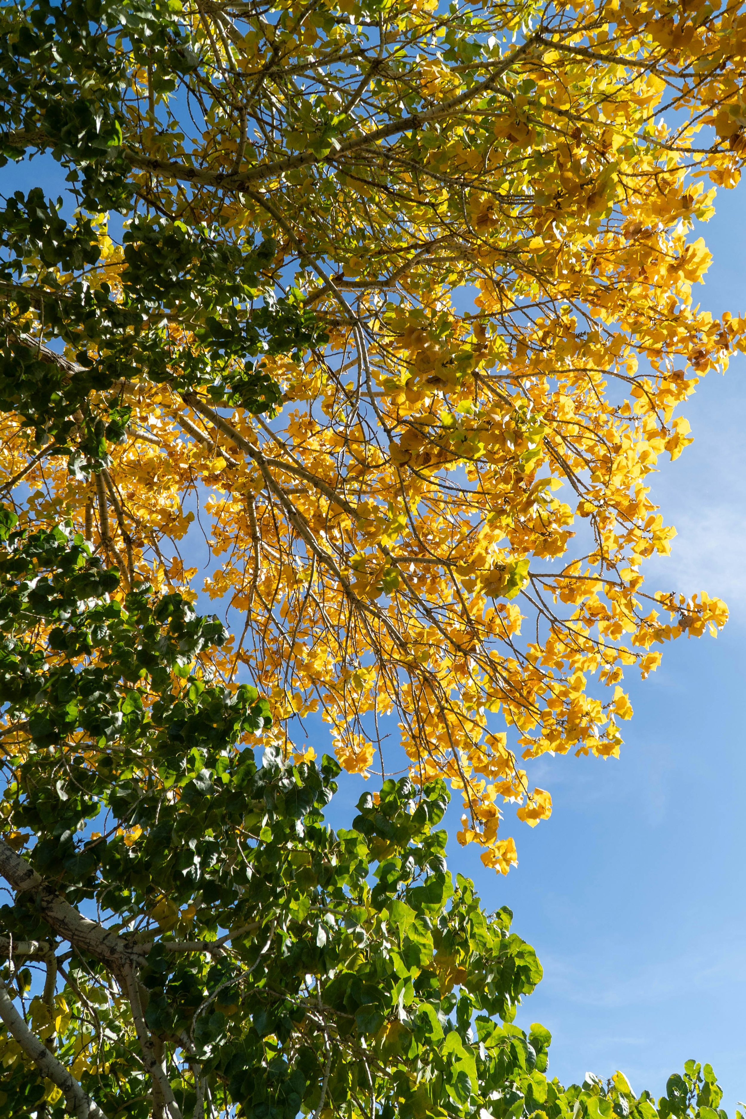 How can therapy help navigate life transitions?